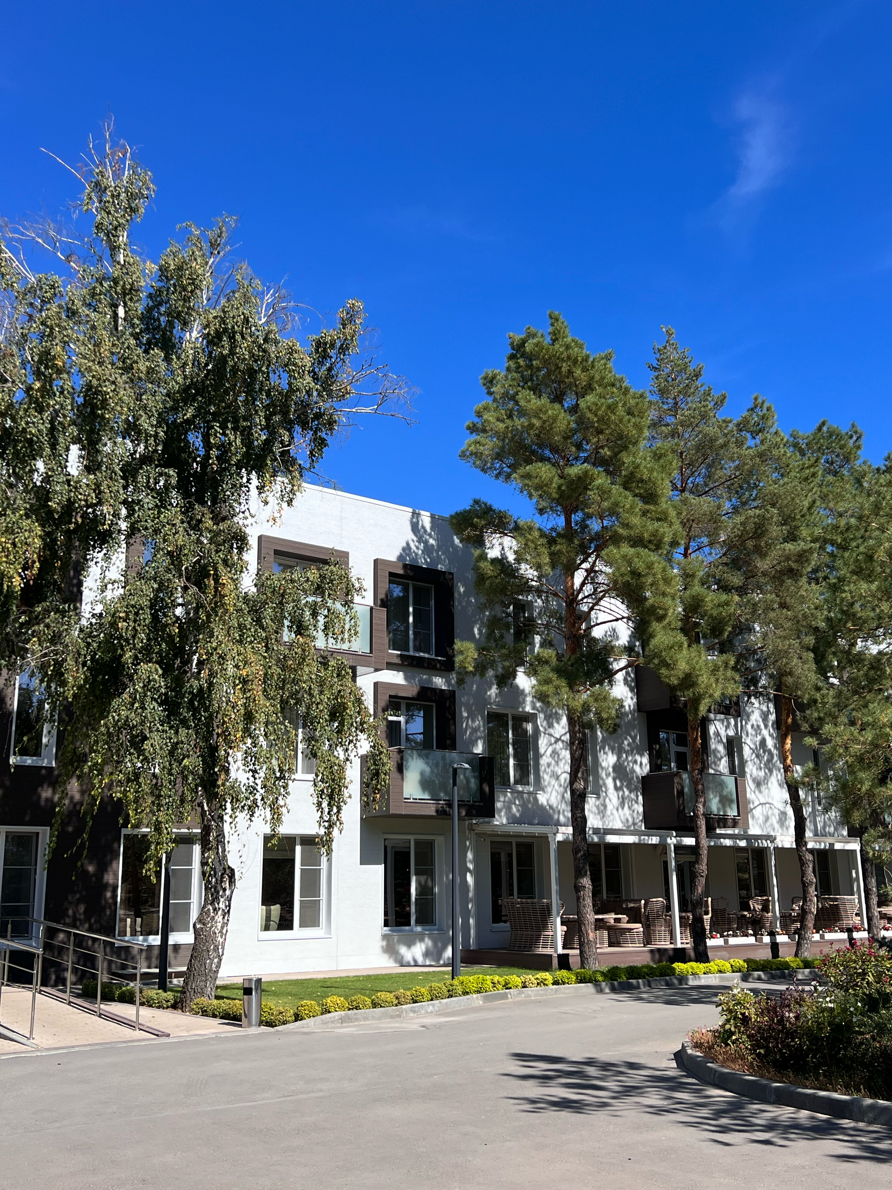 Фото Наша Хвоя