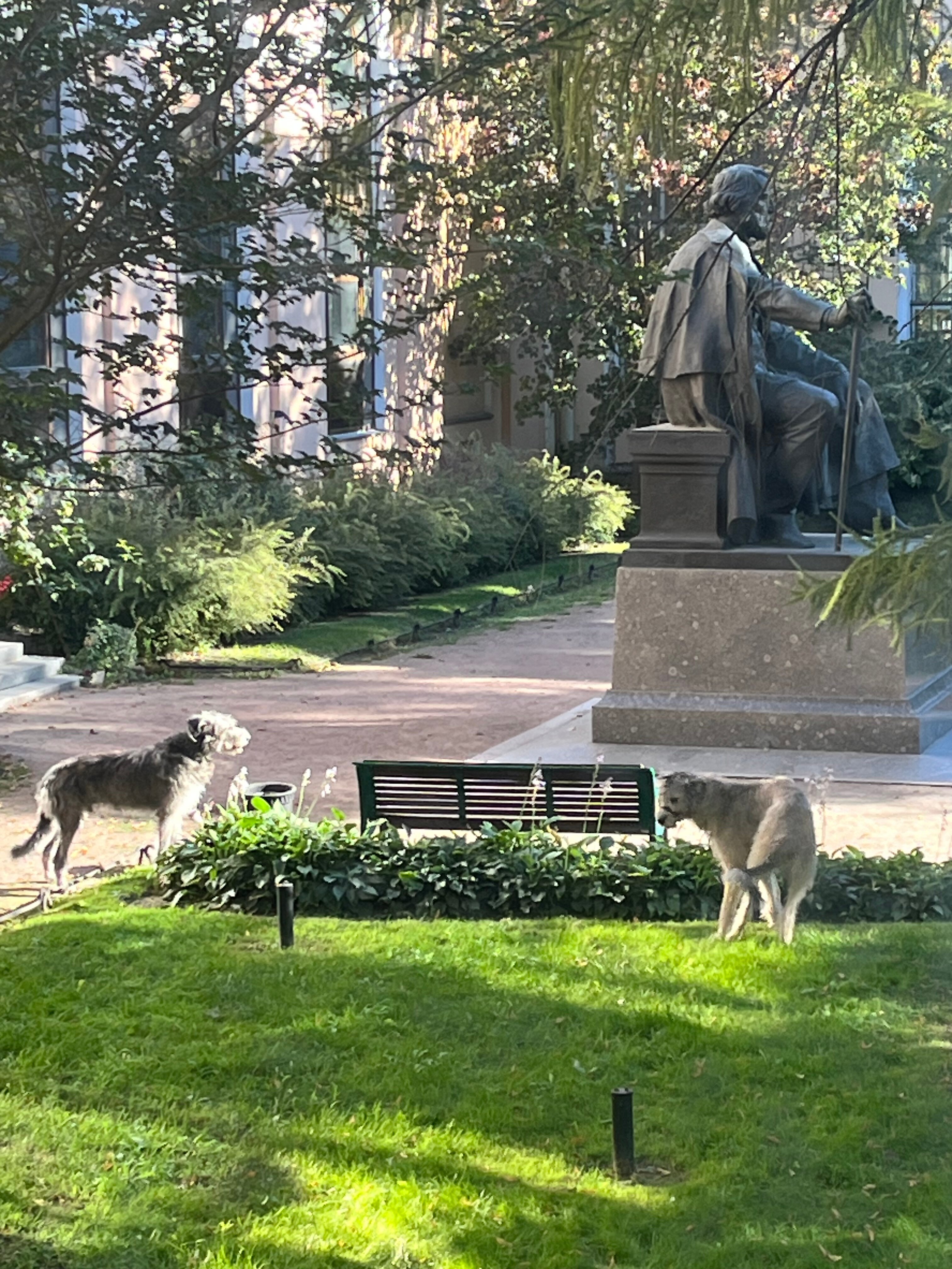 Фото В сердце Питера