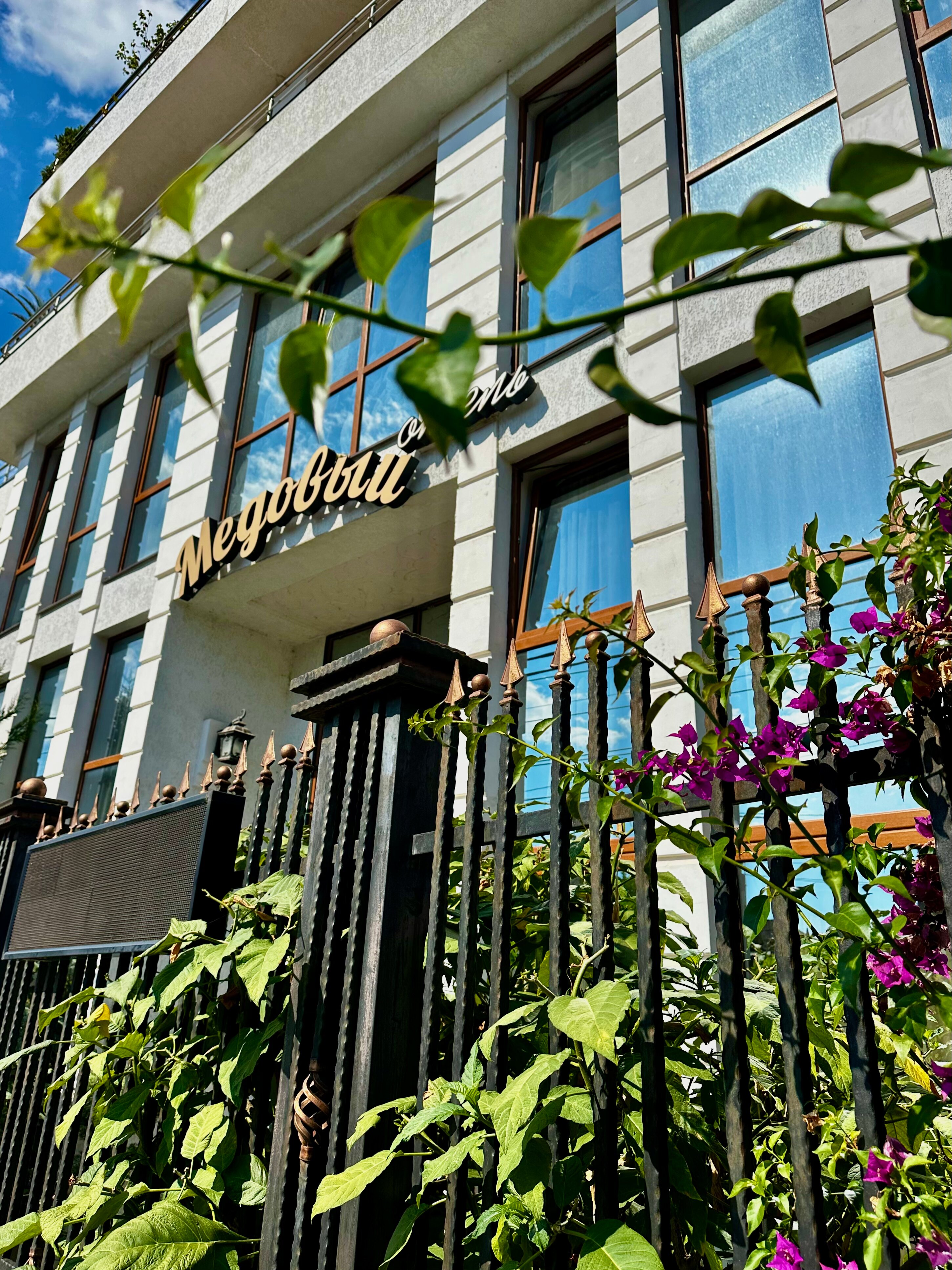 Фото Медовый