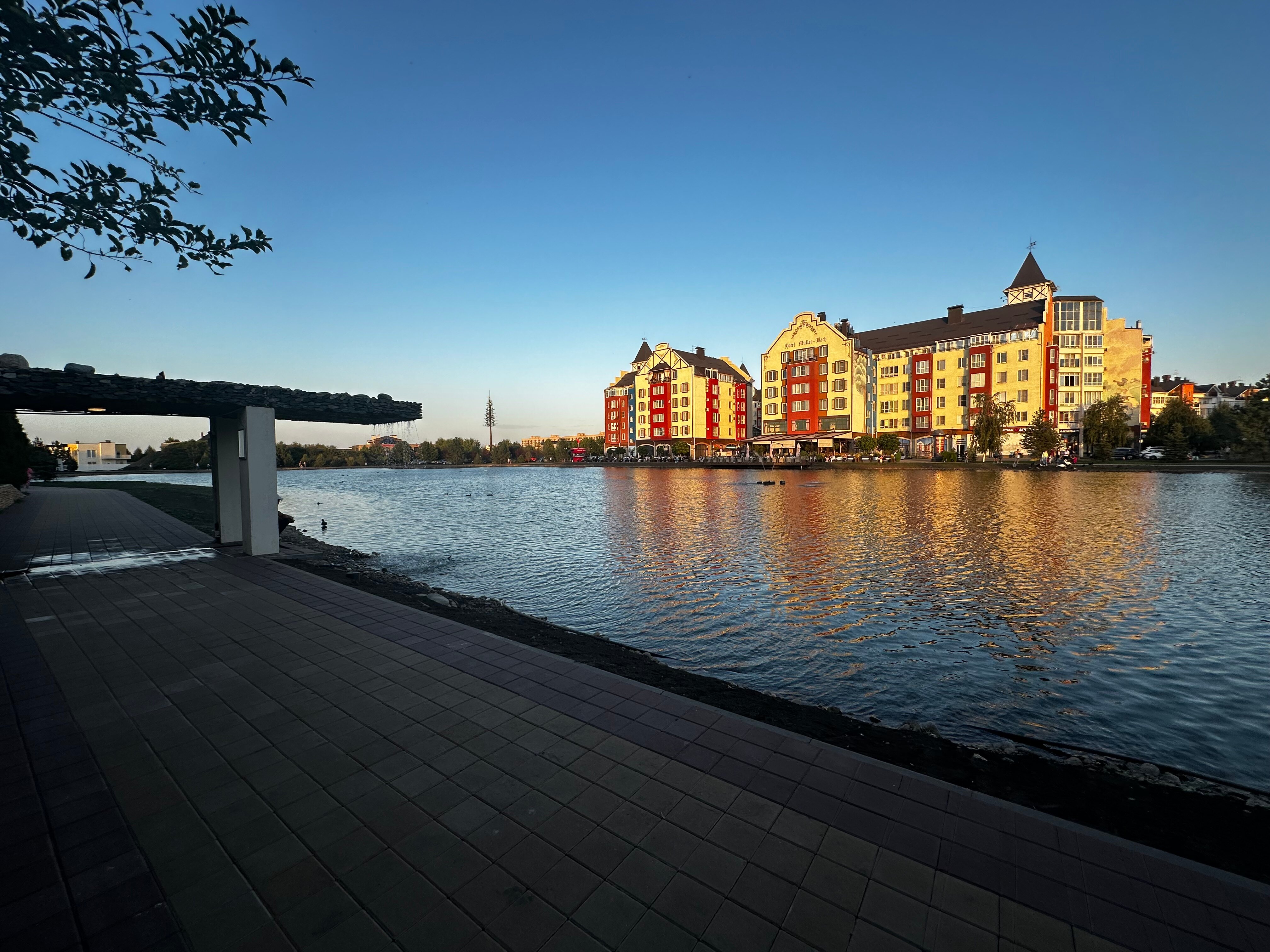 Фото Мюллер Бах