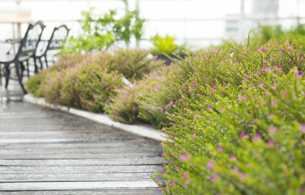 Фото Caesar Park Hotel Taipei