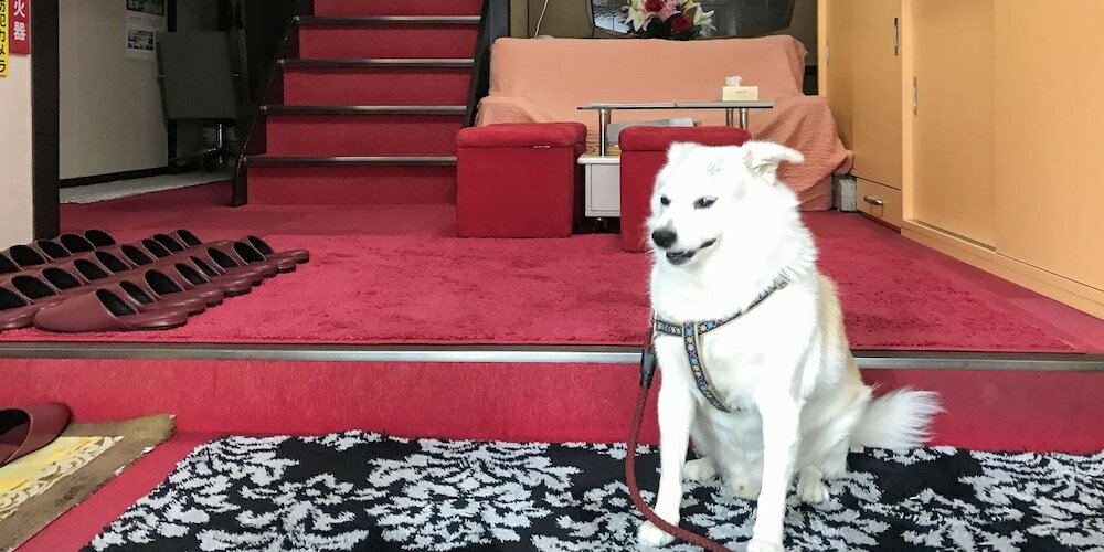 Фото Yamamoto Ryokan