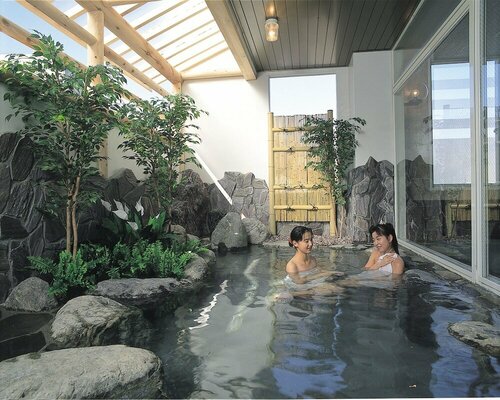 Гостиница Hotel Yuzawa Yuzawa