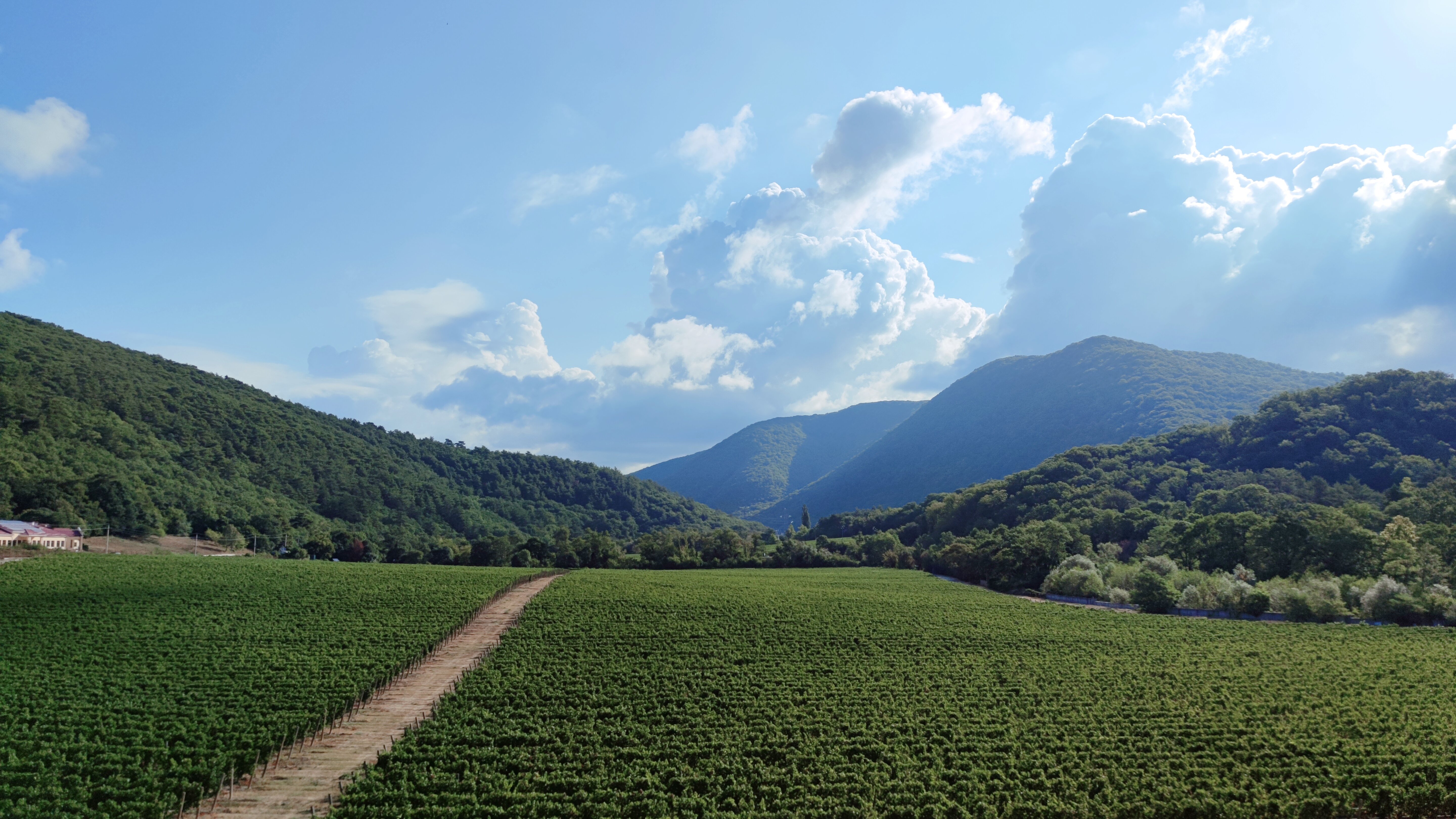 Фото Скала Парус 