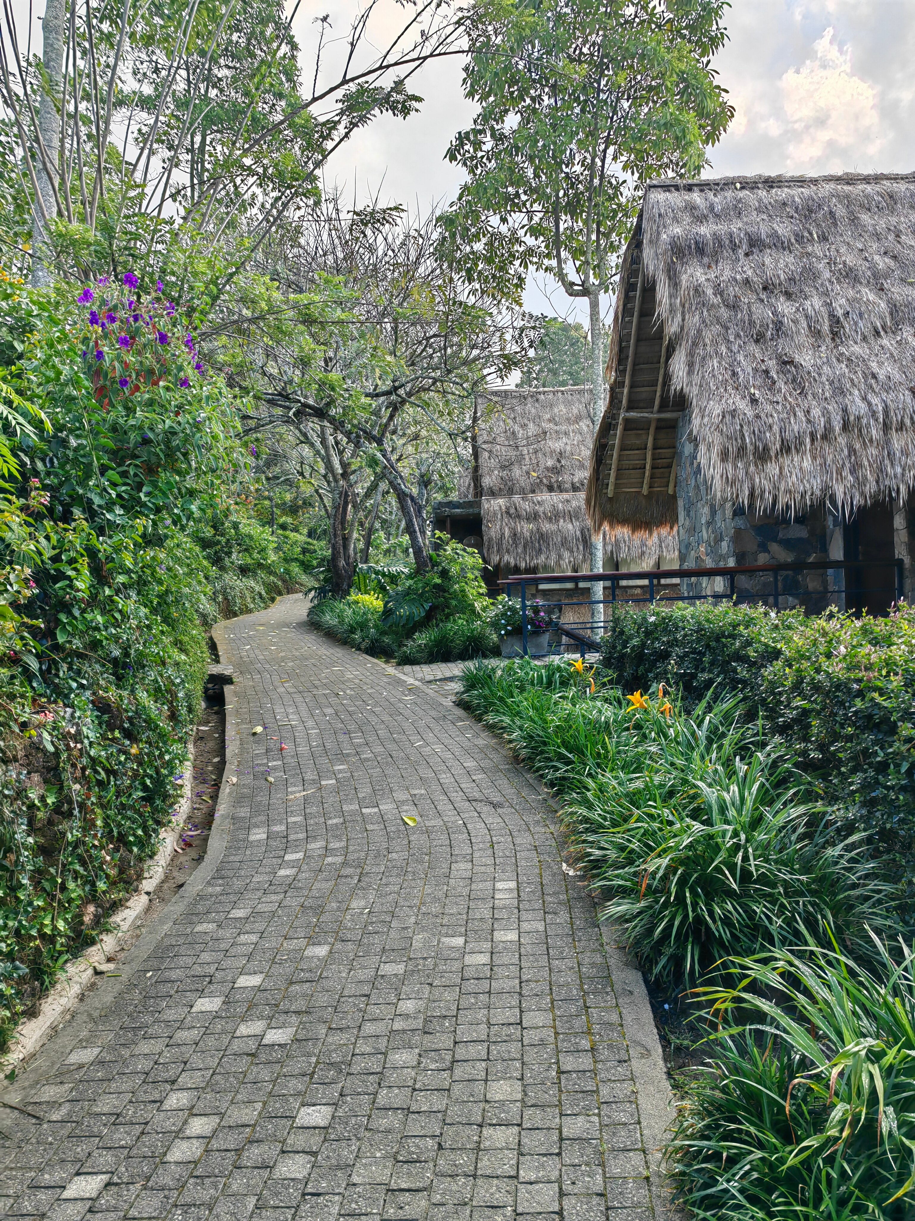 Фото 98 Acres Resort & SPA