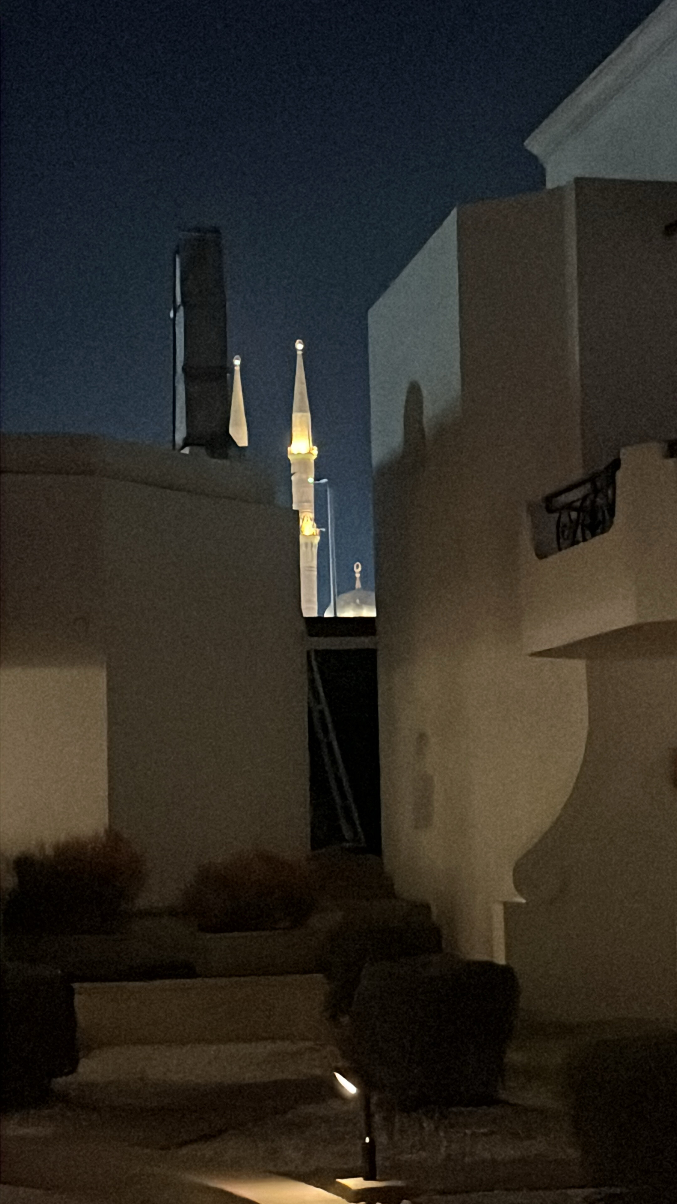 Фото Iberotel Palace