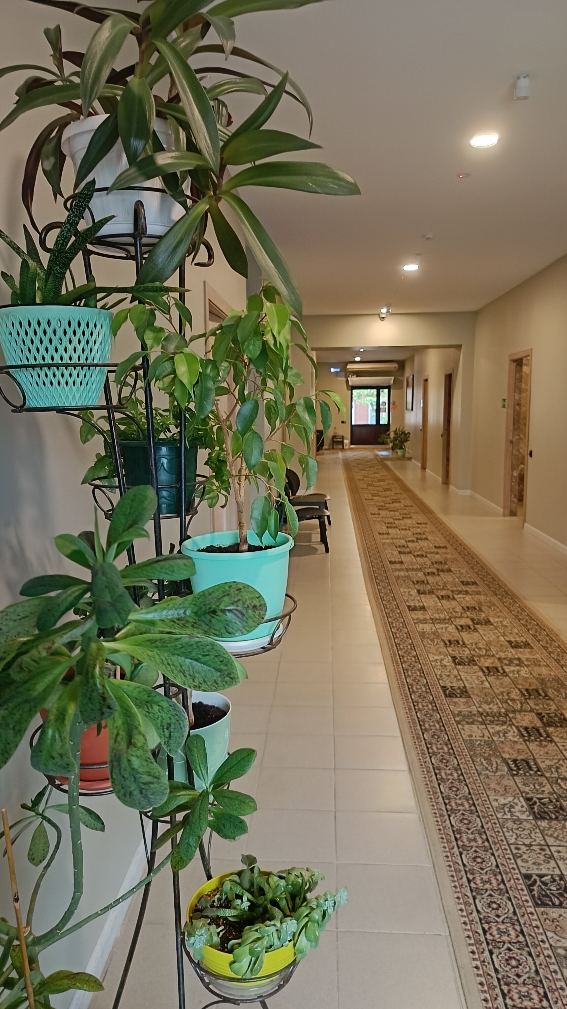 Фото Азовский