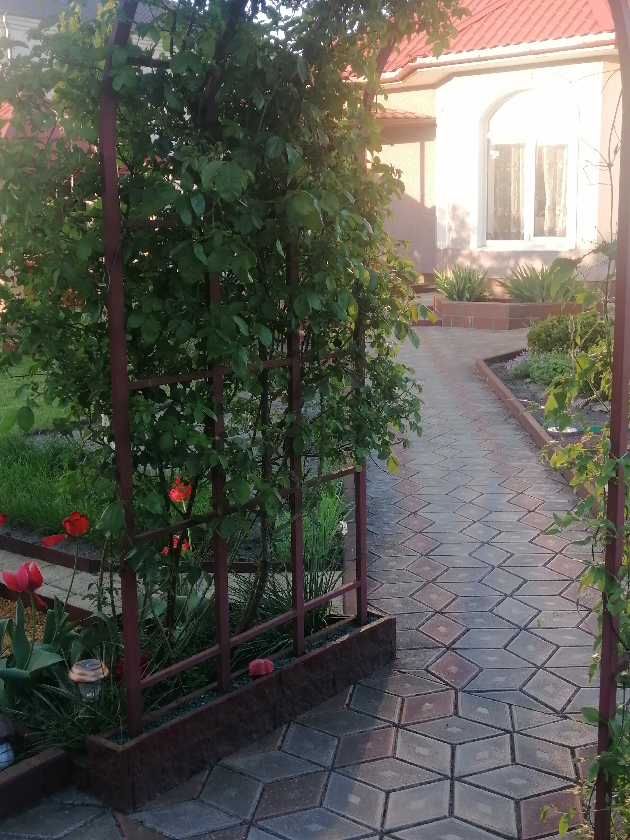 Фото Звезда