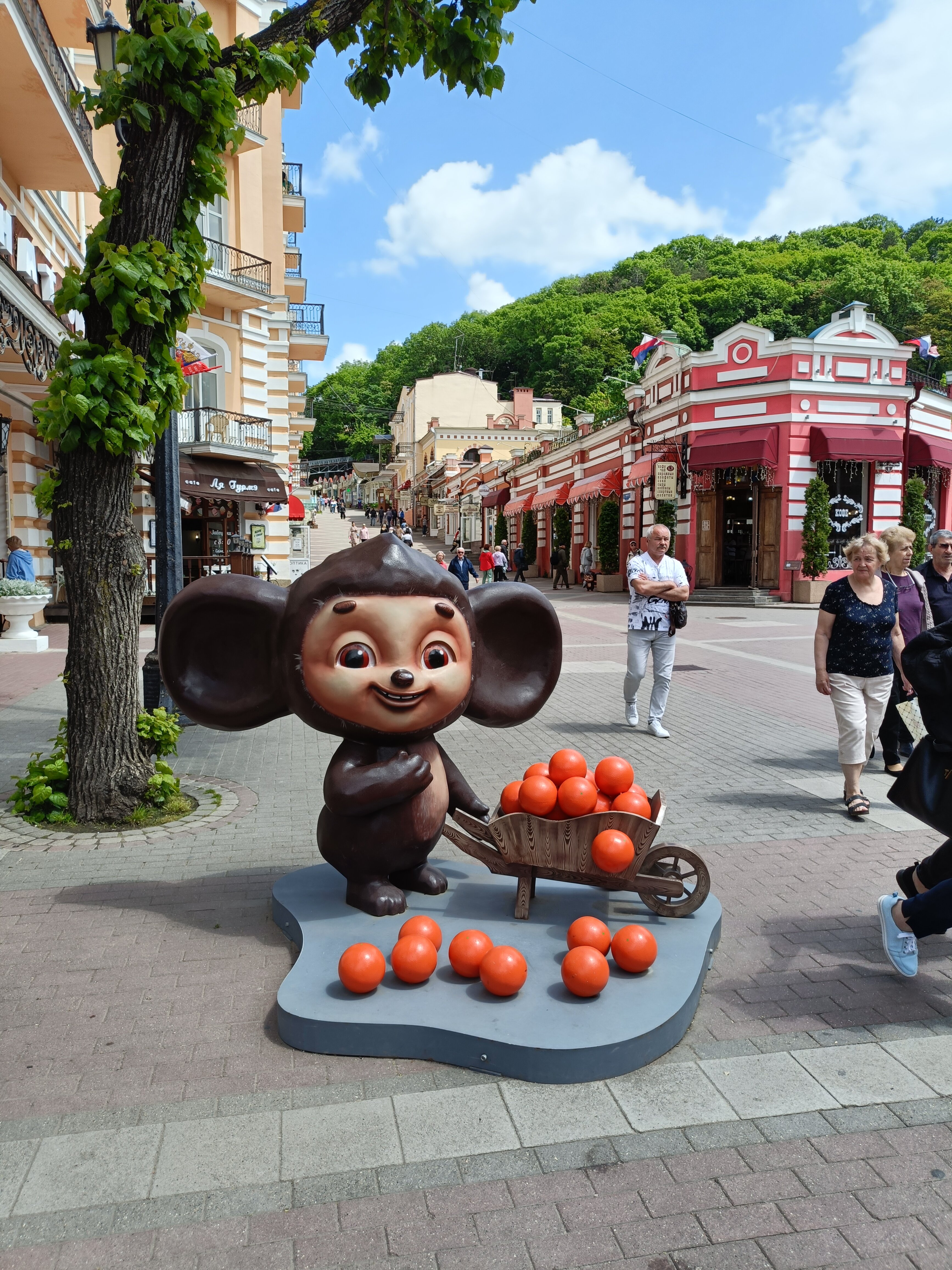 Фото Марсель