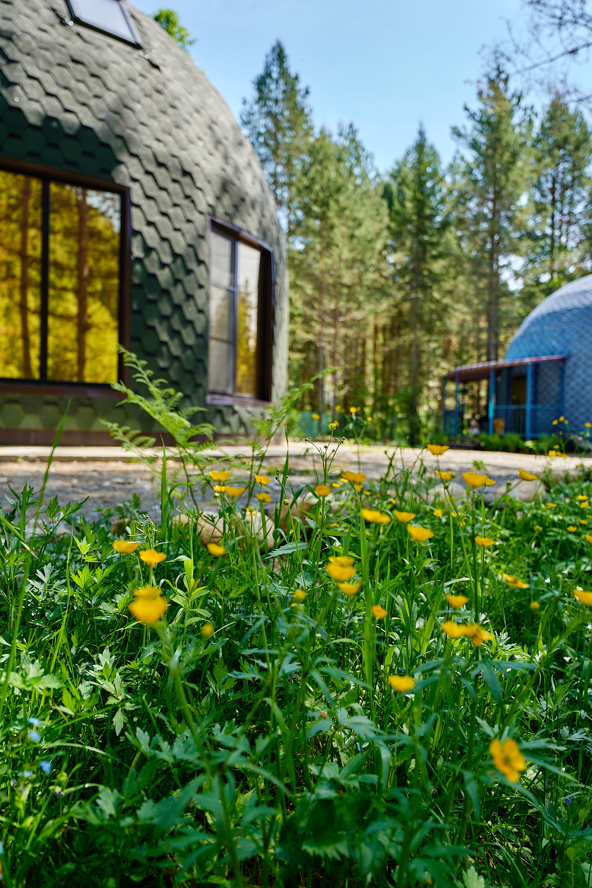 Фото Галактика Алтай