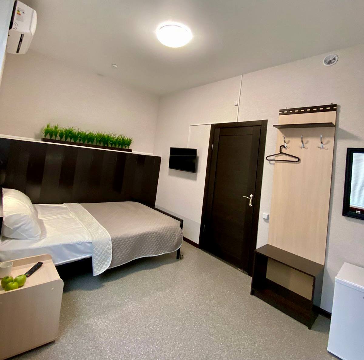 Фото Колибри