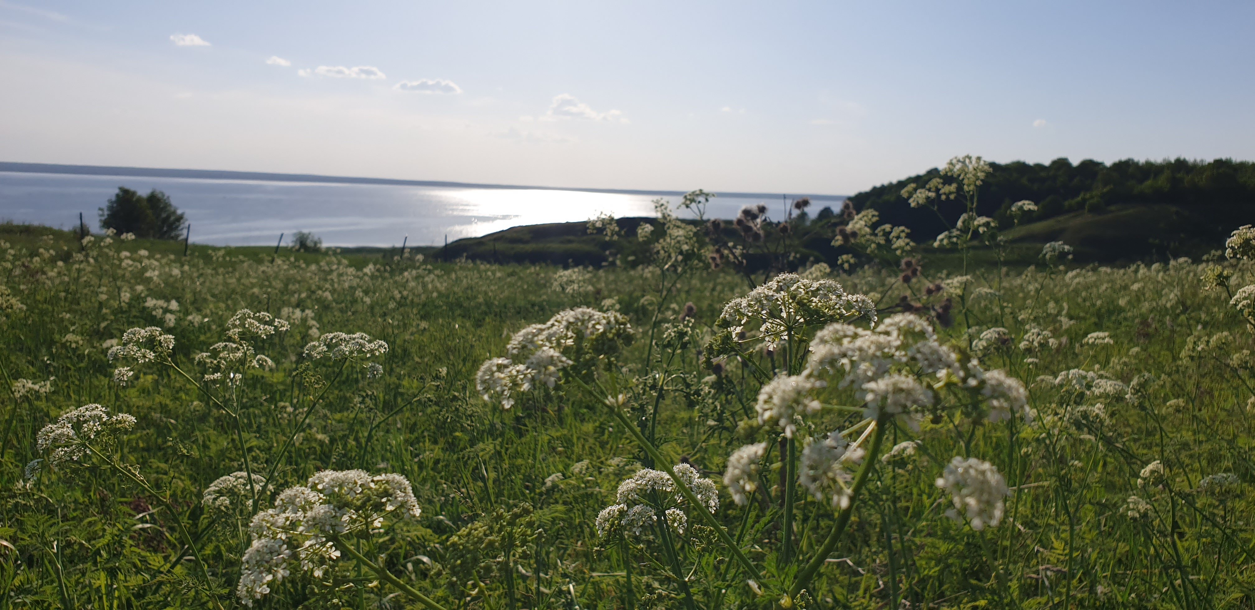 Фото Плещеево Хиллз
