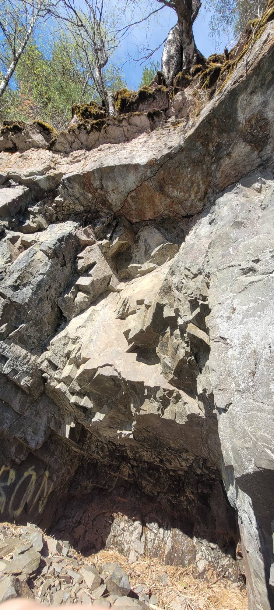 Фото Пяльма