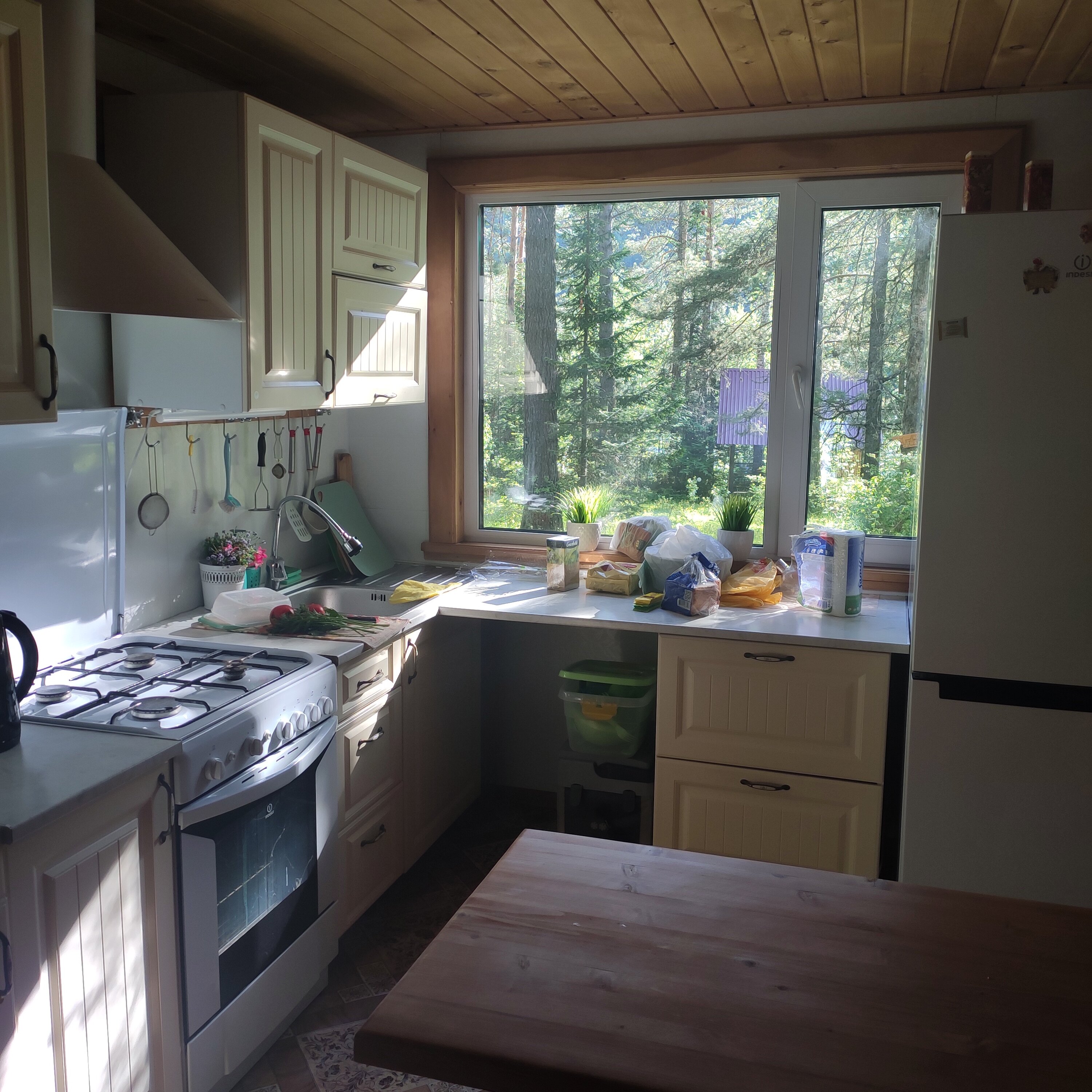 Фото Бия заповедная