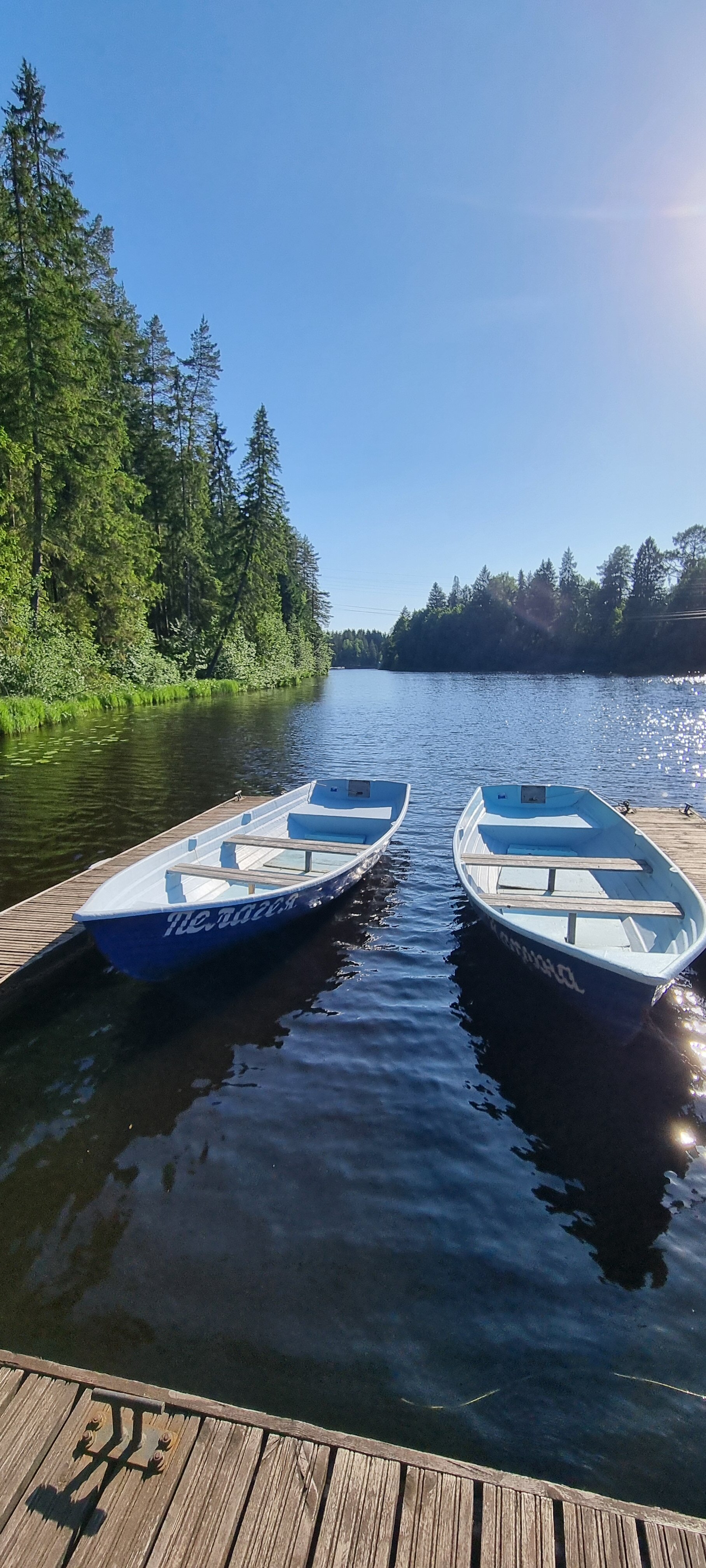 Фото Лесная обитель