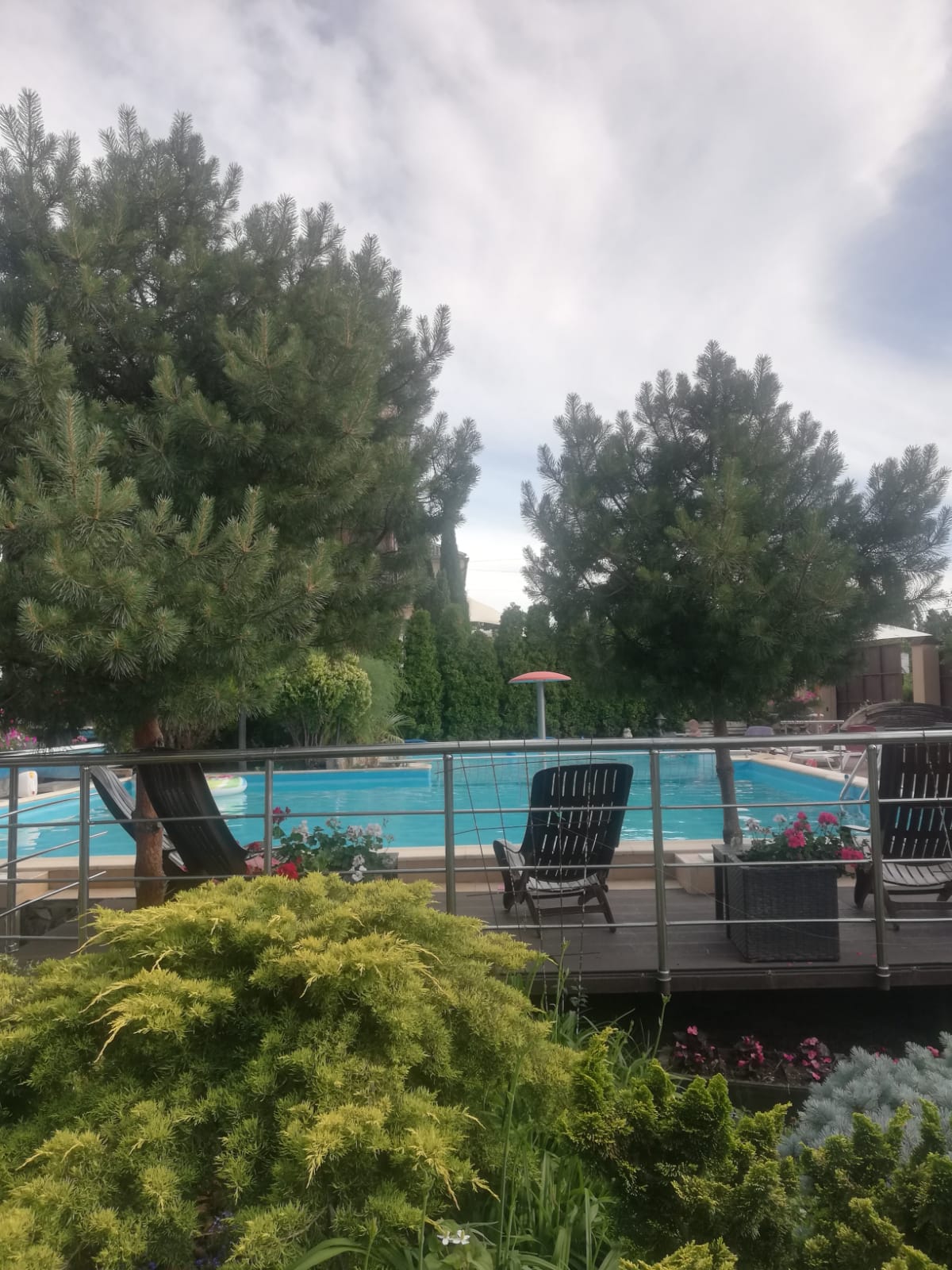 Фото Димерчи