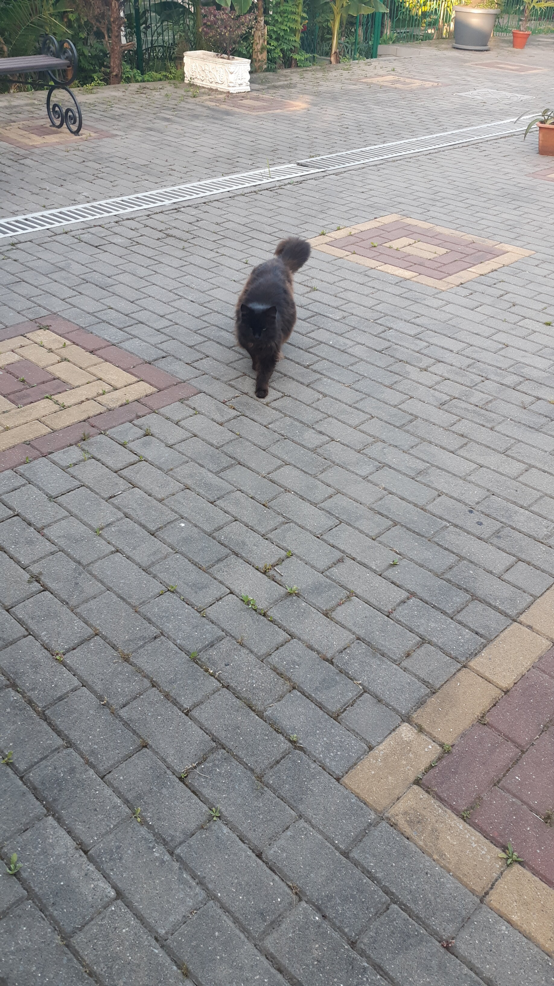 Фото Sea key Маруся на Александровском