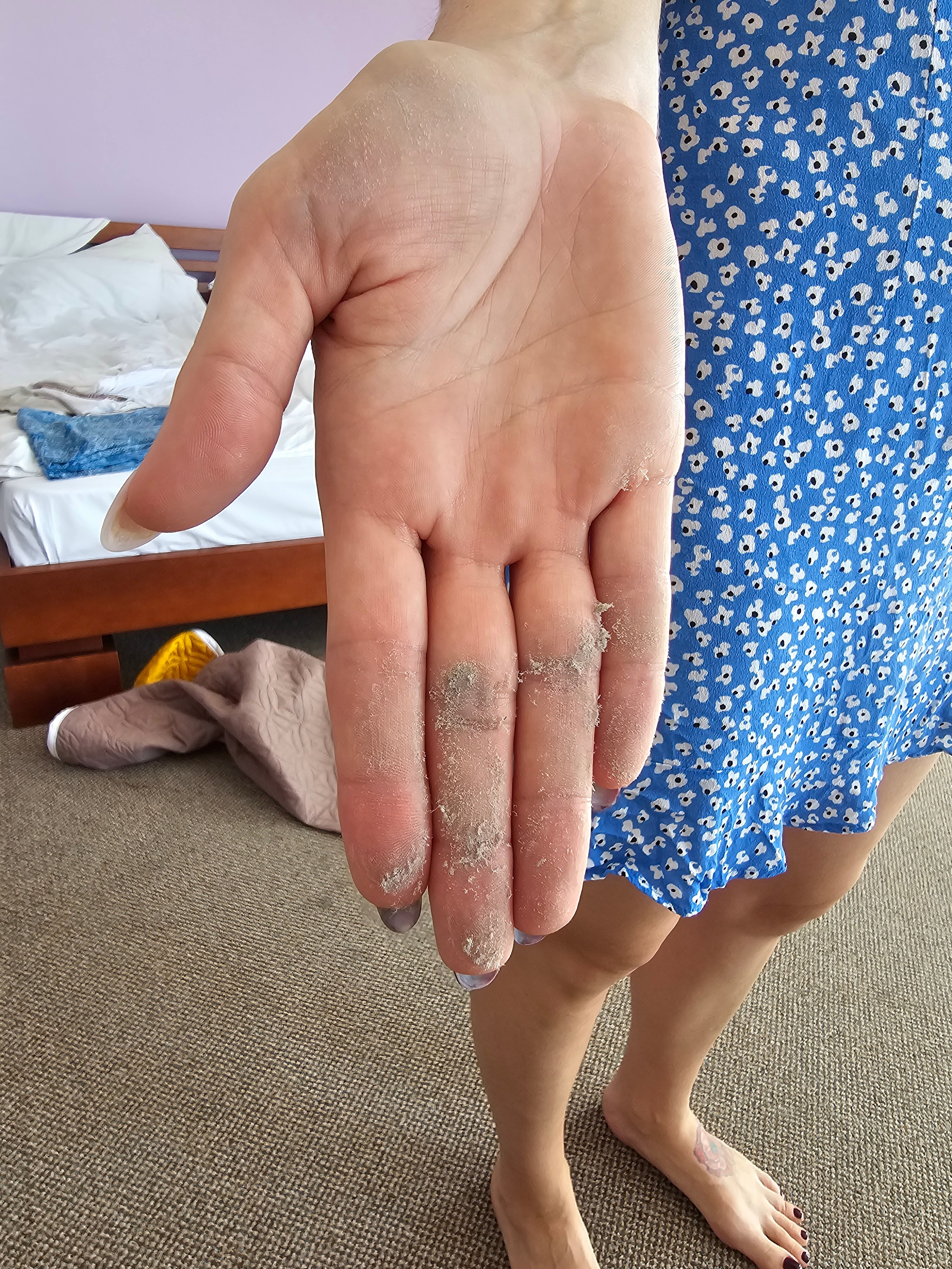 Фото Алубика