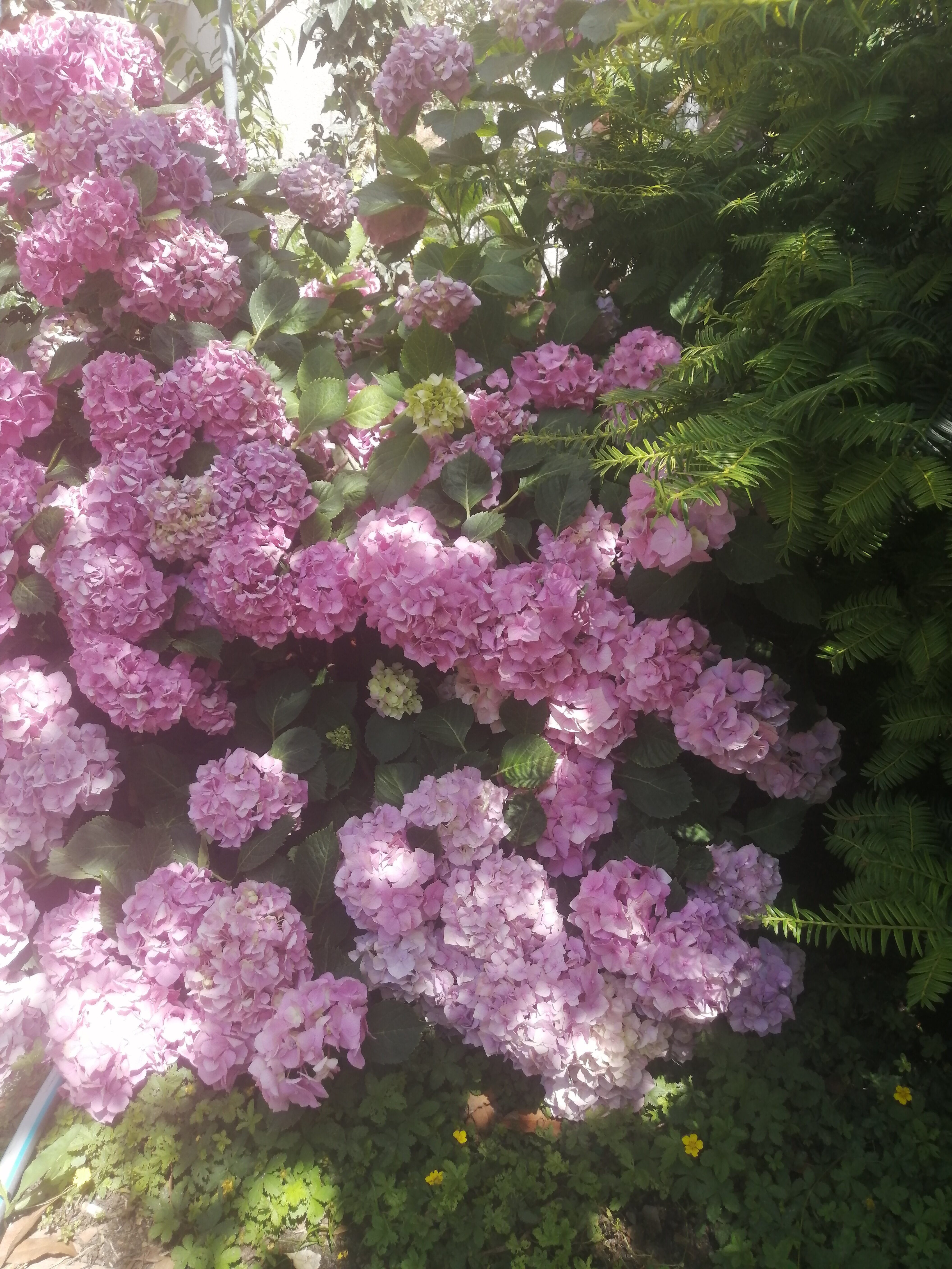 Фото Райский уголок