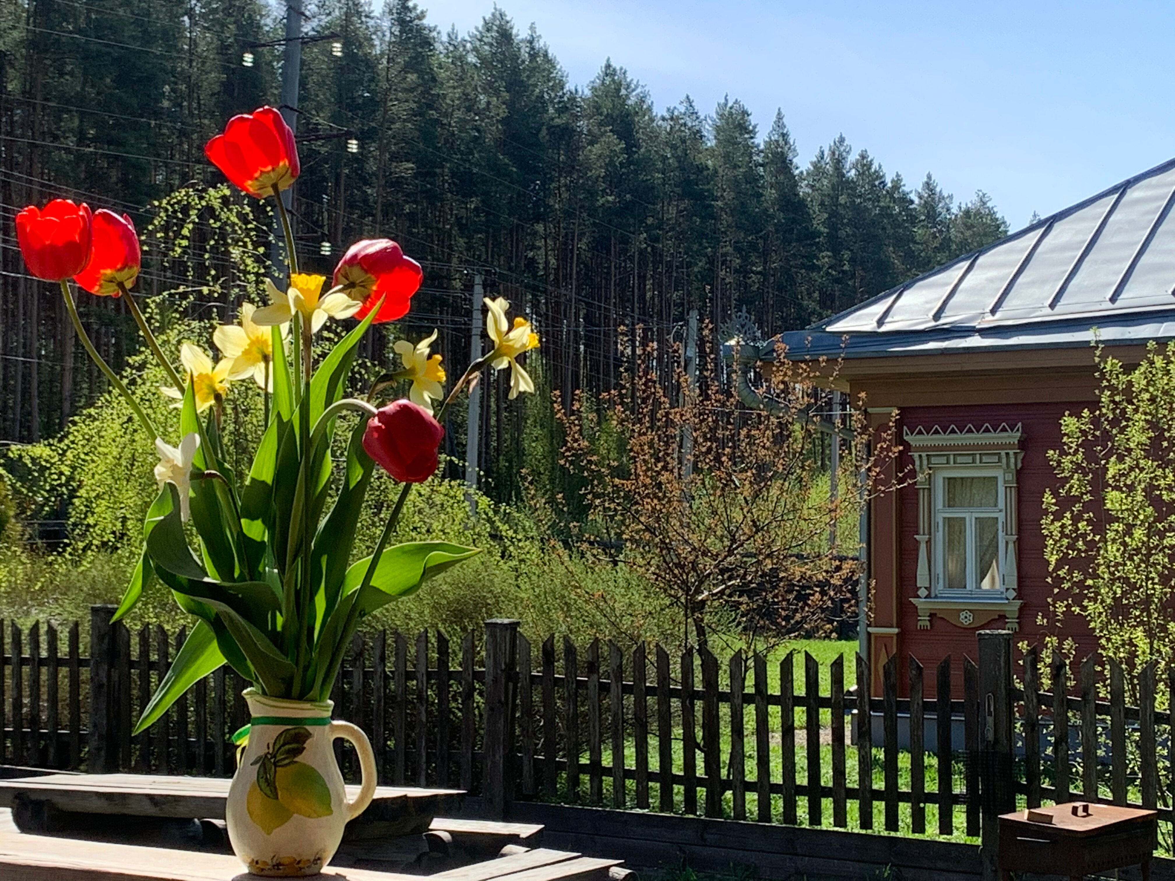 Фото Hidden Plyos