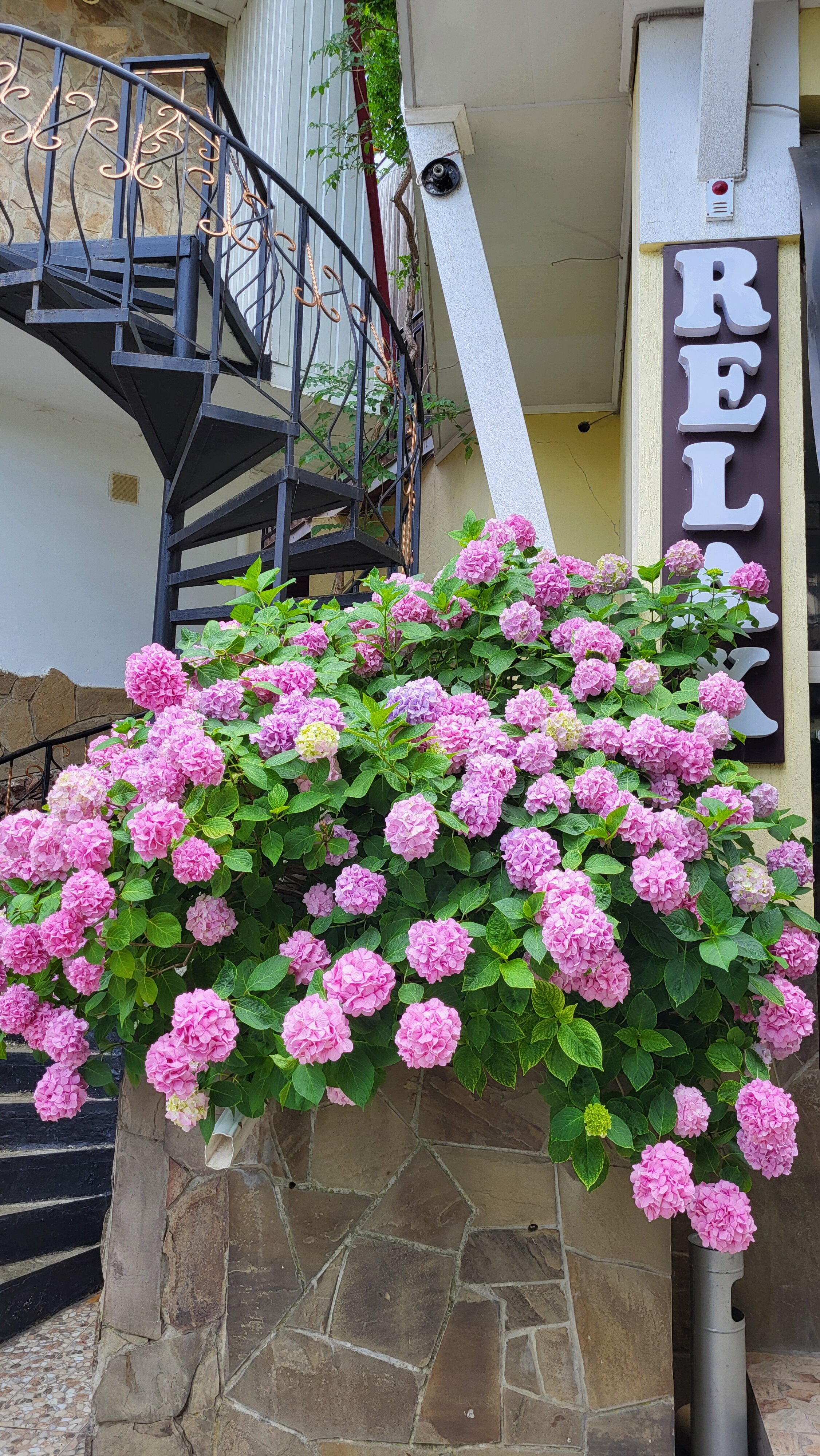 Фото Вилла Relax