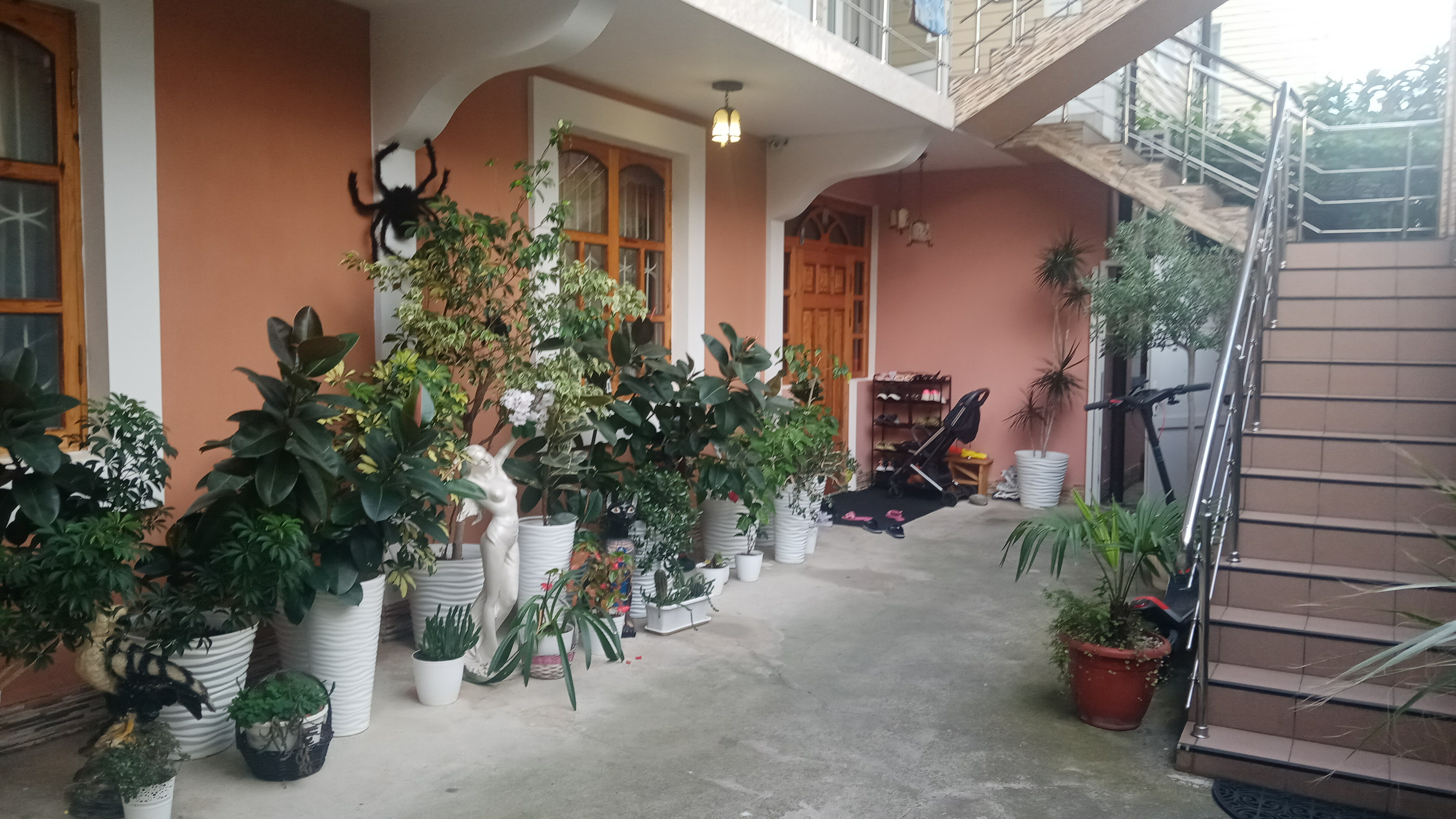 Фото Кенгуру