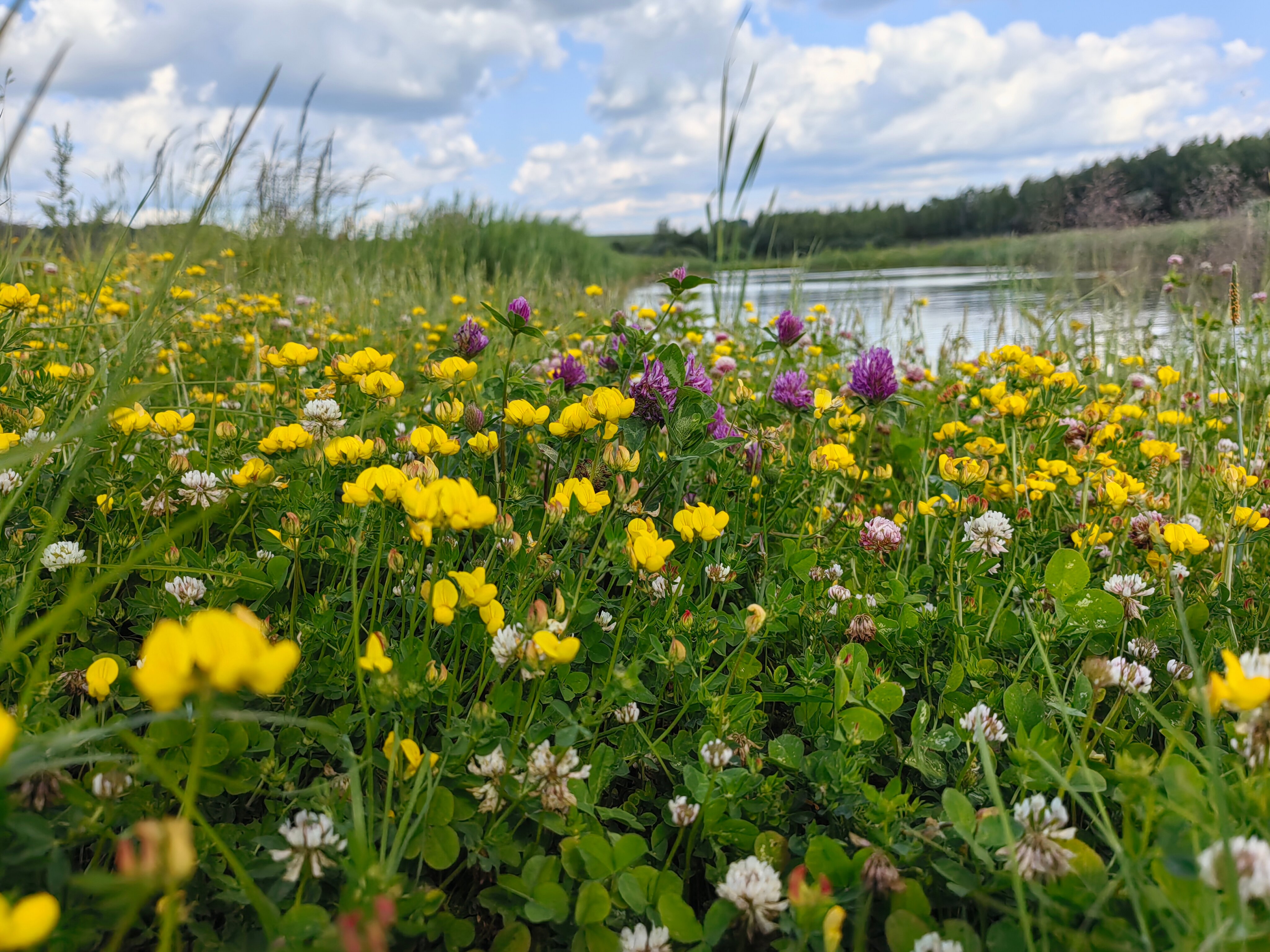 Фото Лаки Лейк