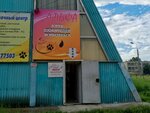 Фокс Альфа (15-y mikrorayon, 33) ، منظمات المجتمع