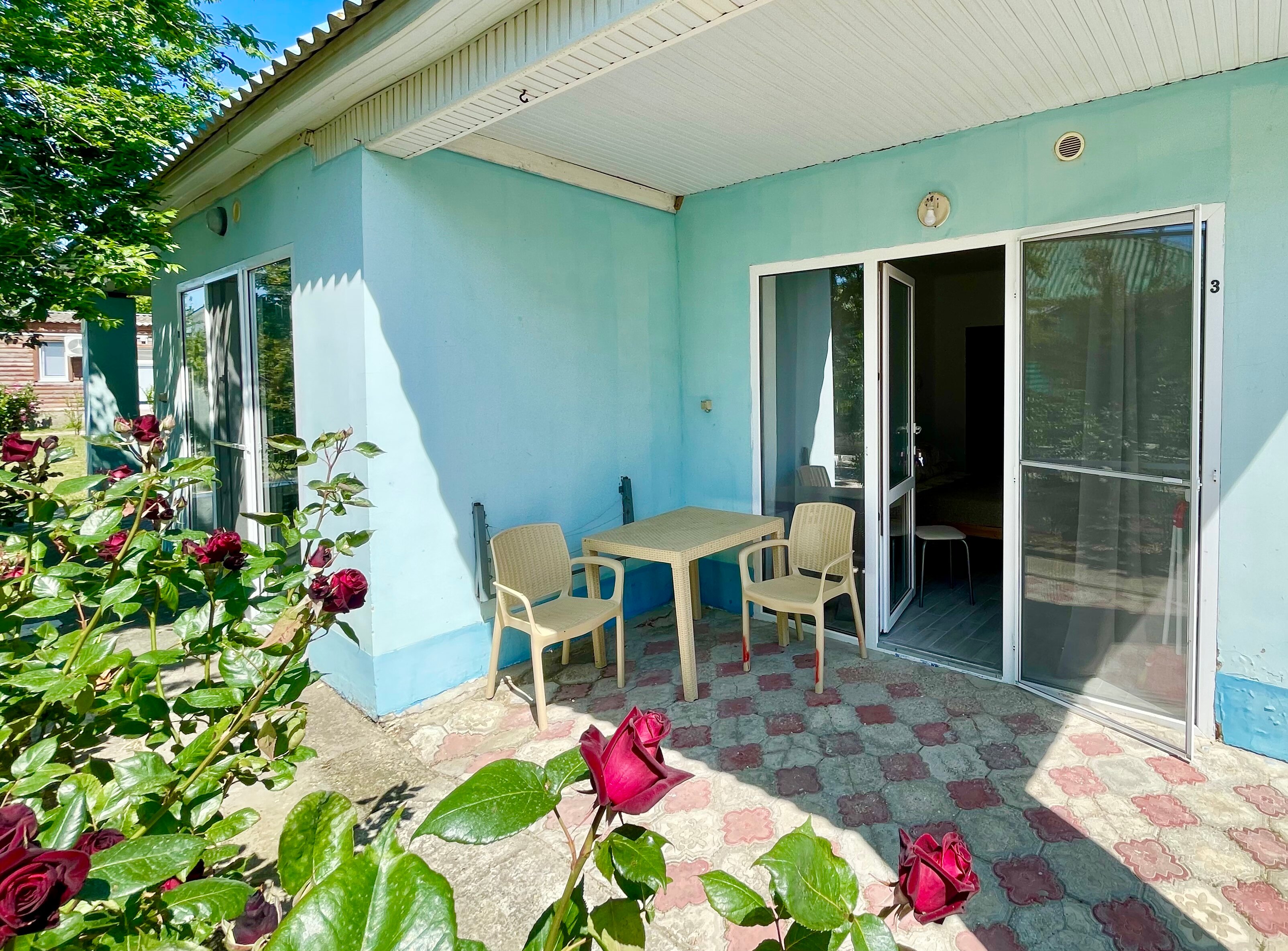 Фото Дельфин