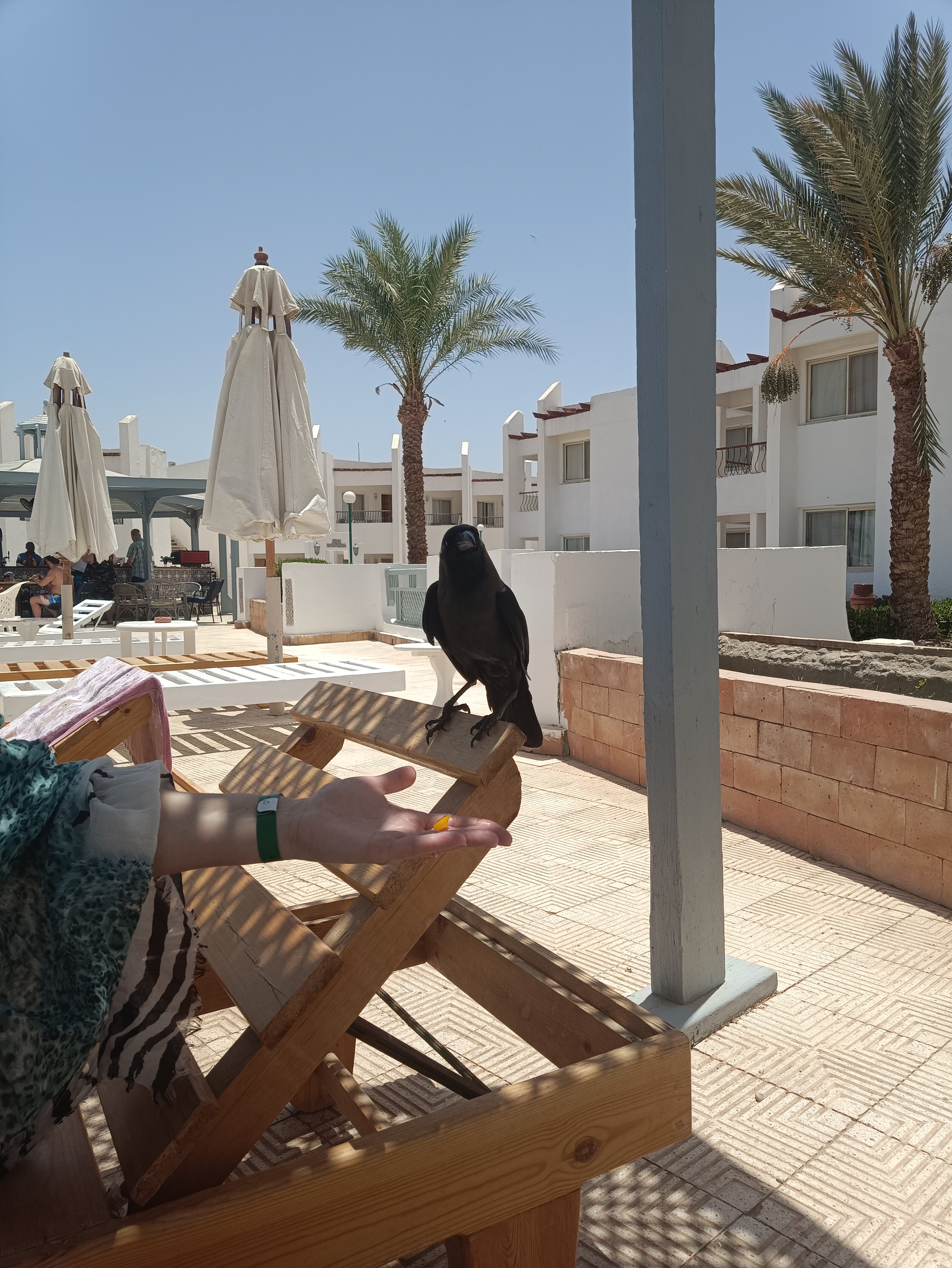 Фото Менавиль Резорт