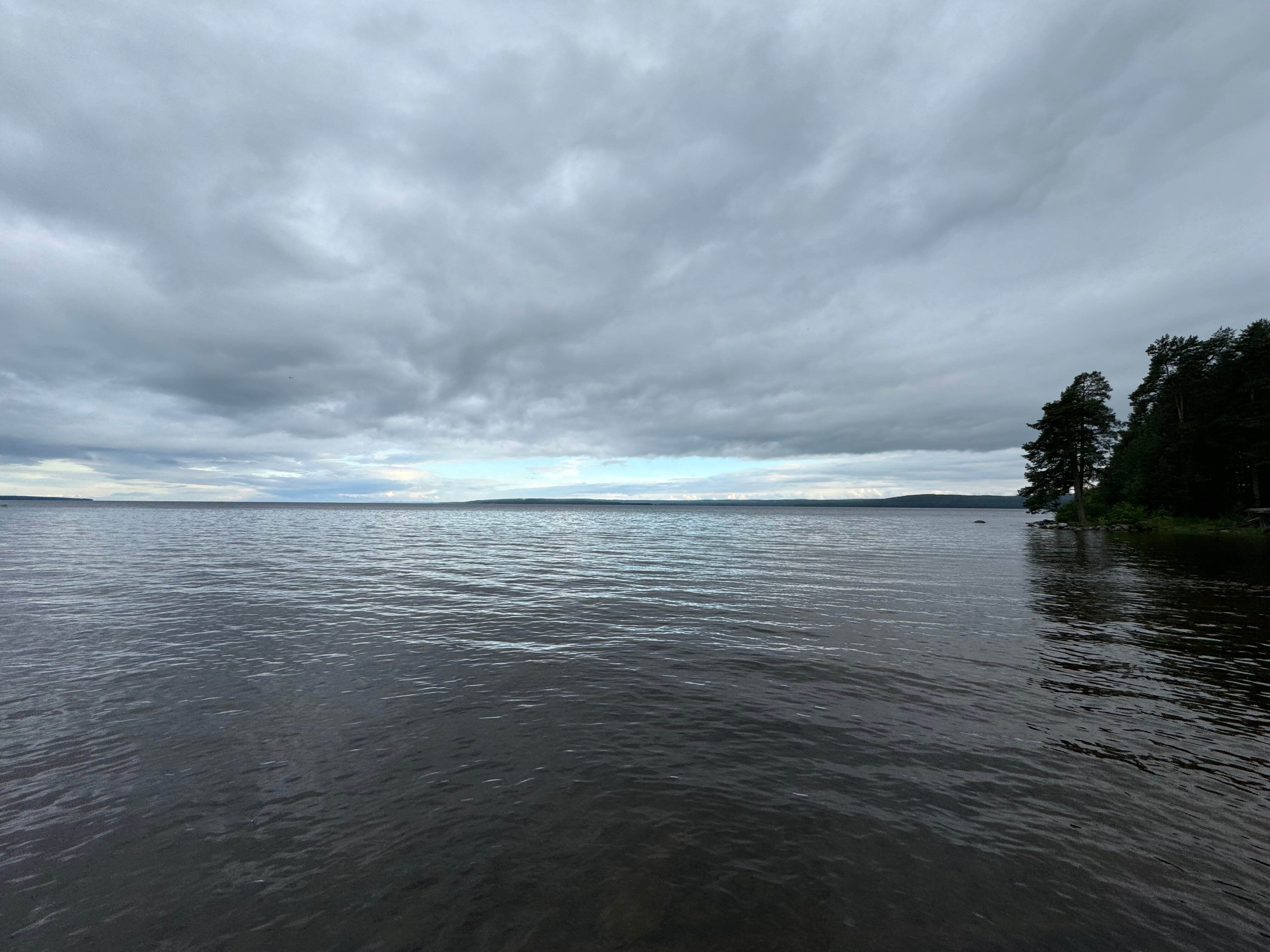 Фото Пяльма