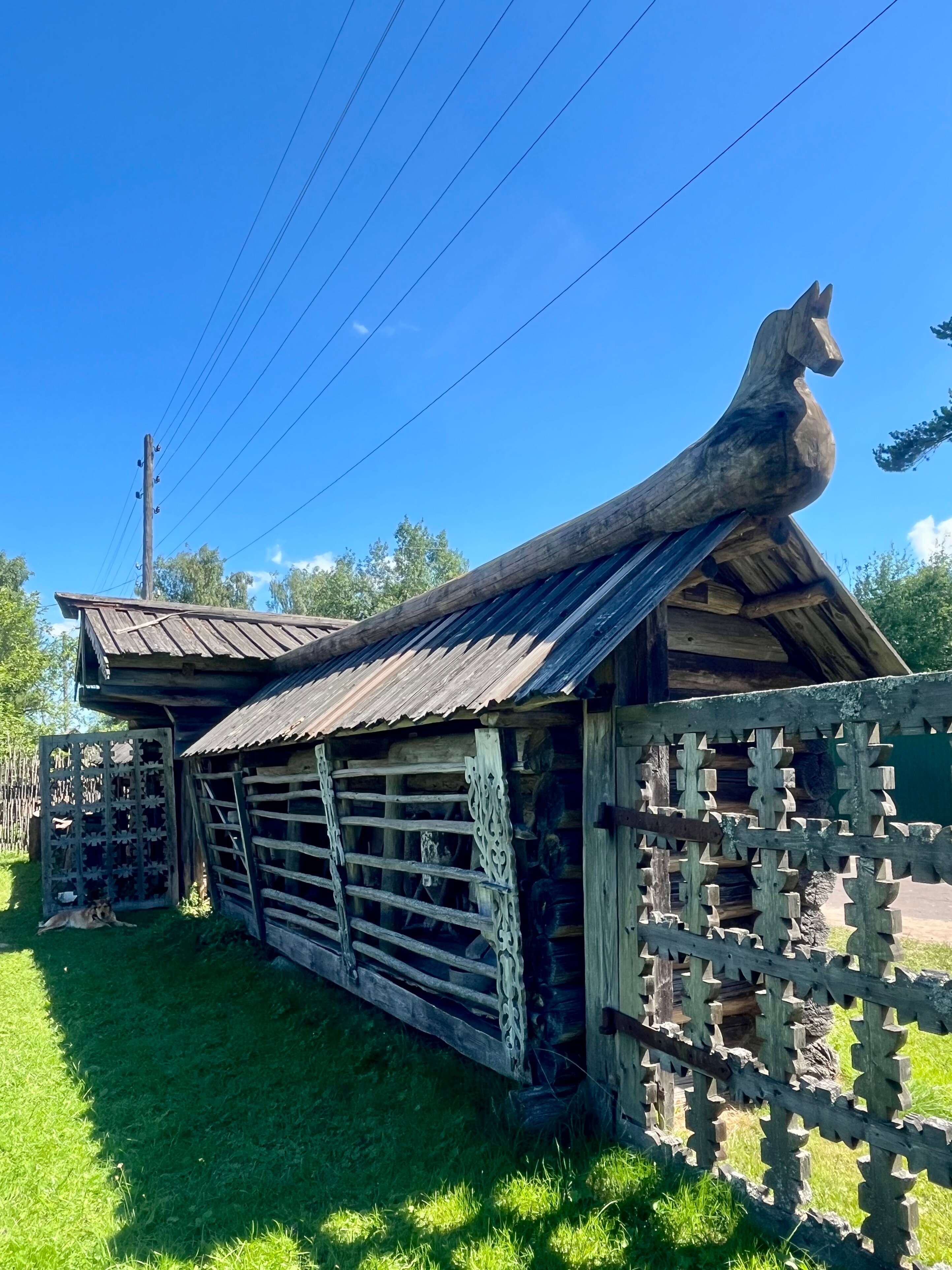 Фото Белая Морошка