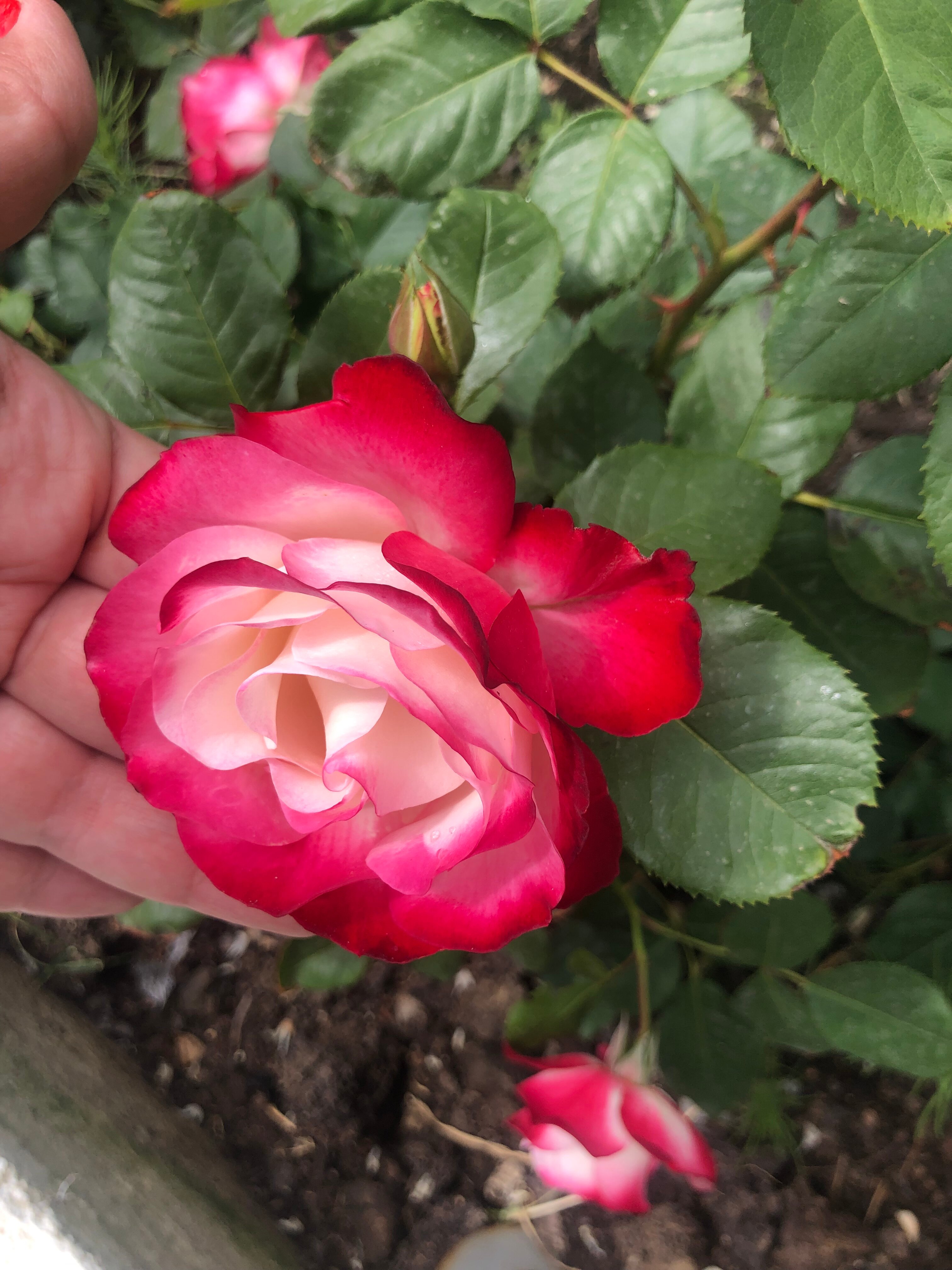 Фото У Моря