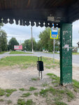 Трансформаторная (Vladimir Region, Vyazniki, ulitsa Gorkogo), public transport stop