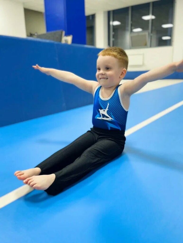 مدرسة رياضية Школа Спортивной Гимнастики Андрея Перевозникова ، ، صورة