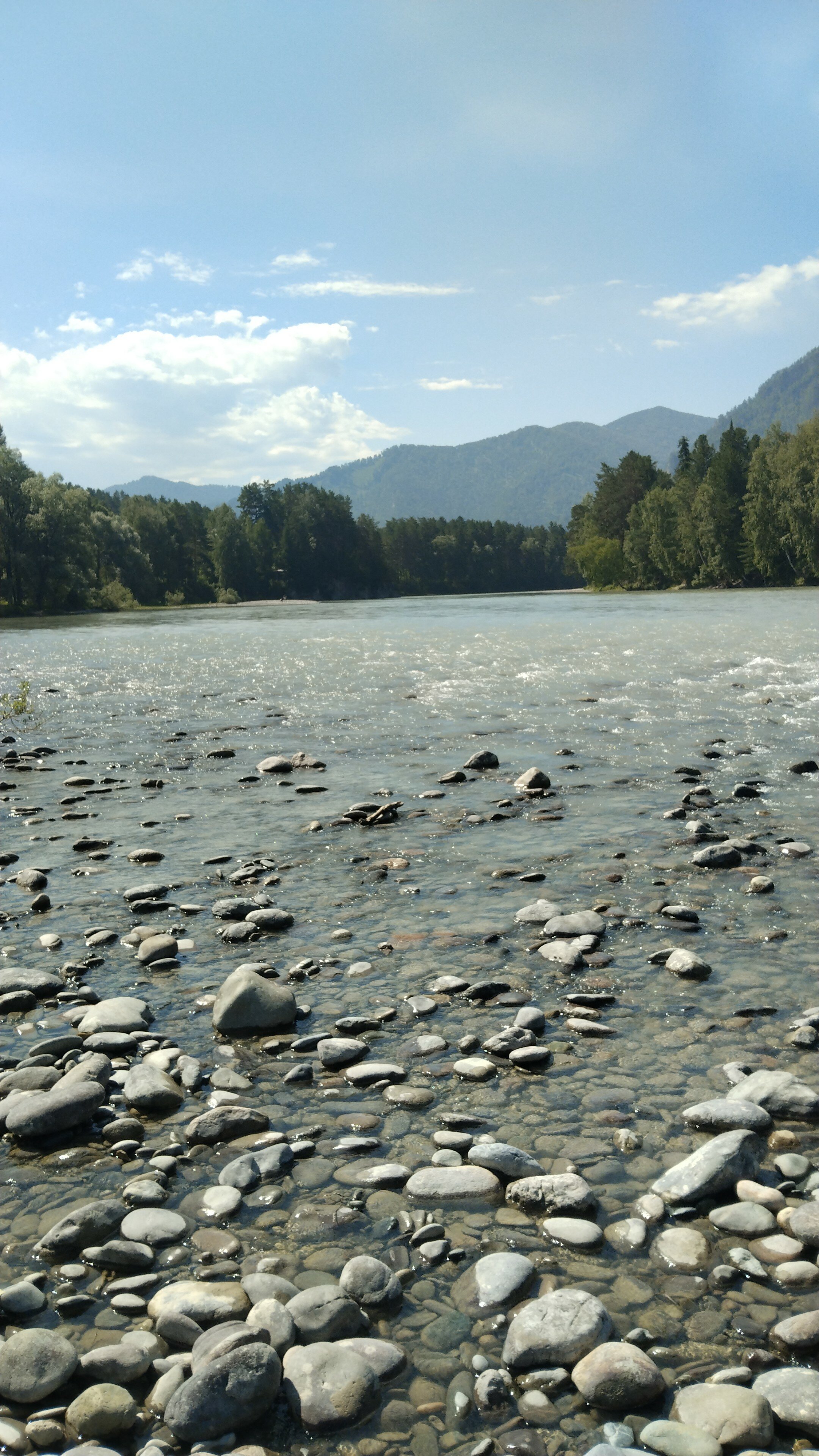 Фото Green House