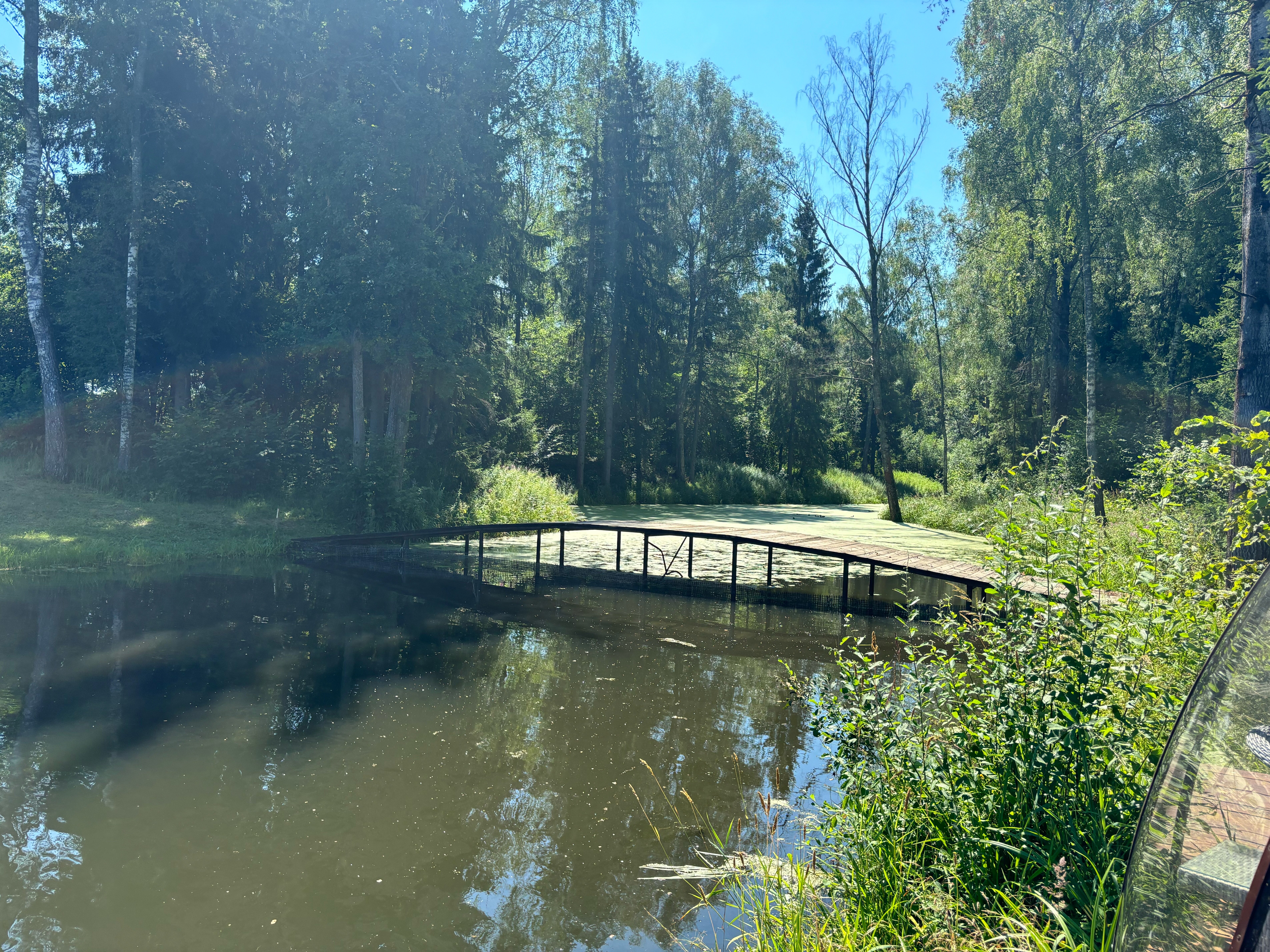 Фото Михайловское угодье