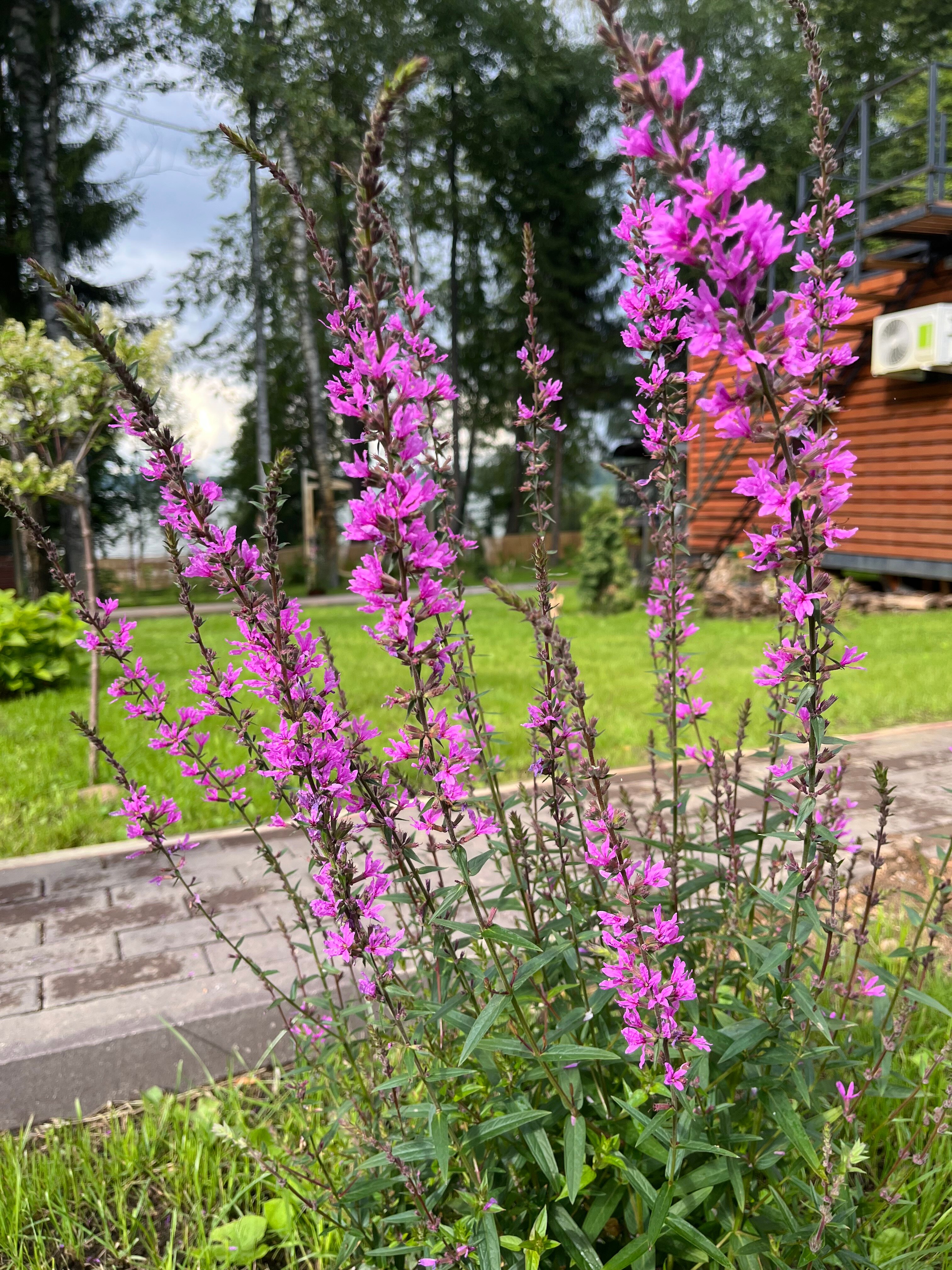 Фото База отдыха Домики