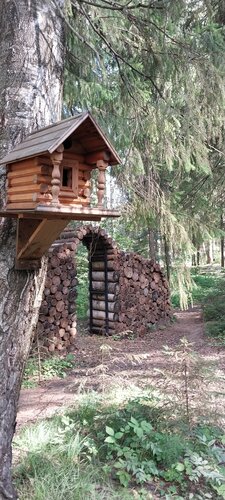 Окна в лес  фото 8