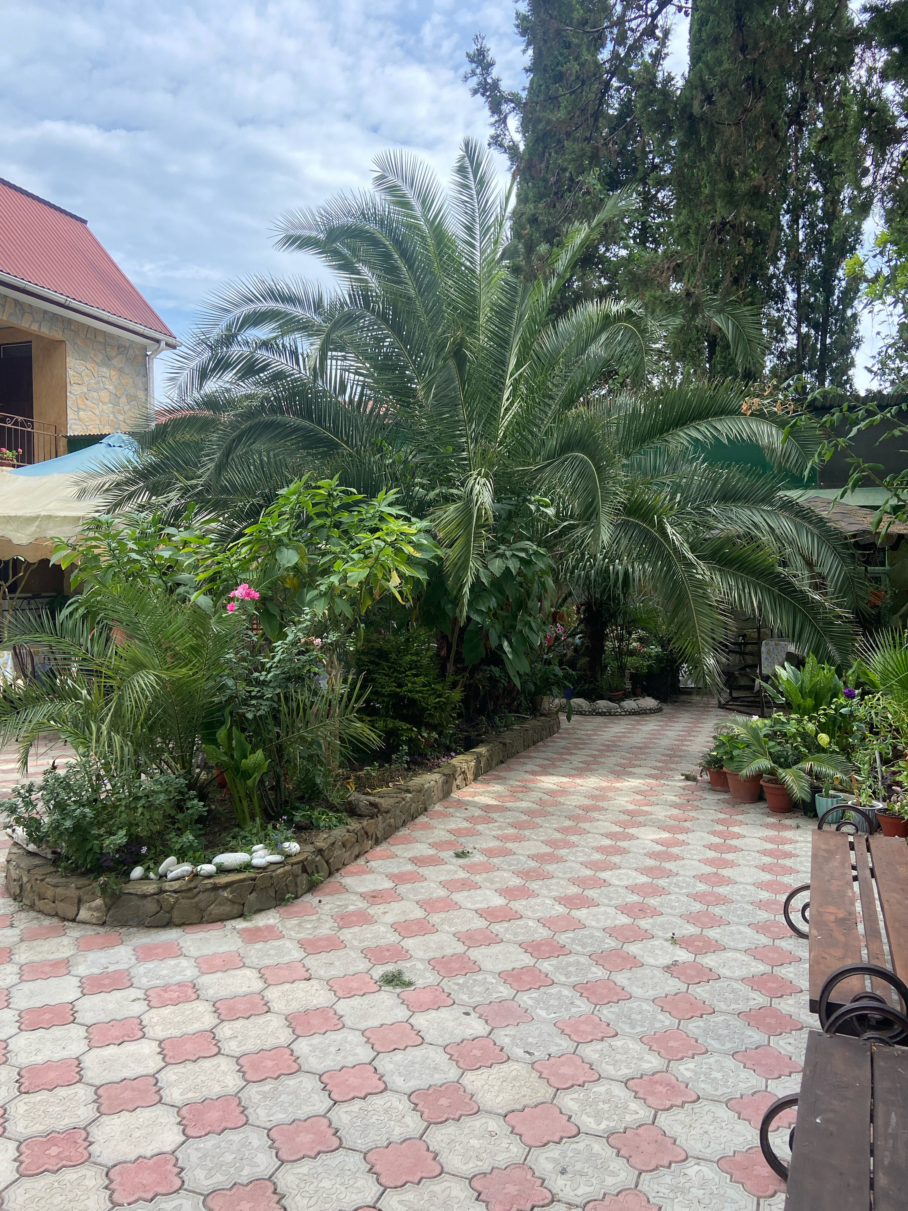 Фото Mechta House