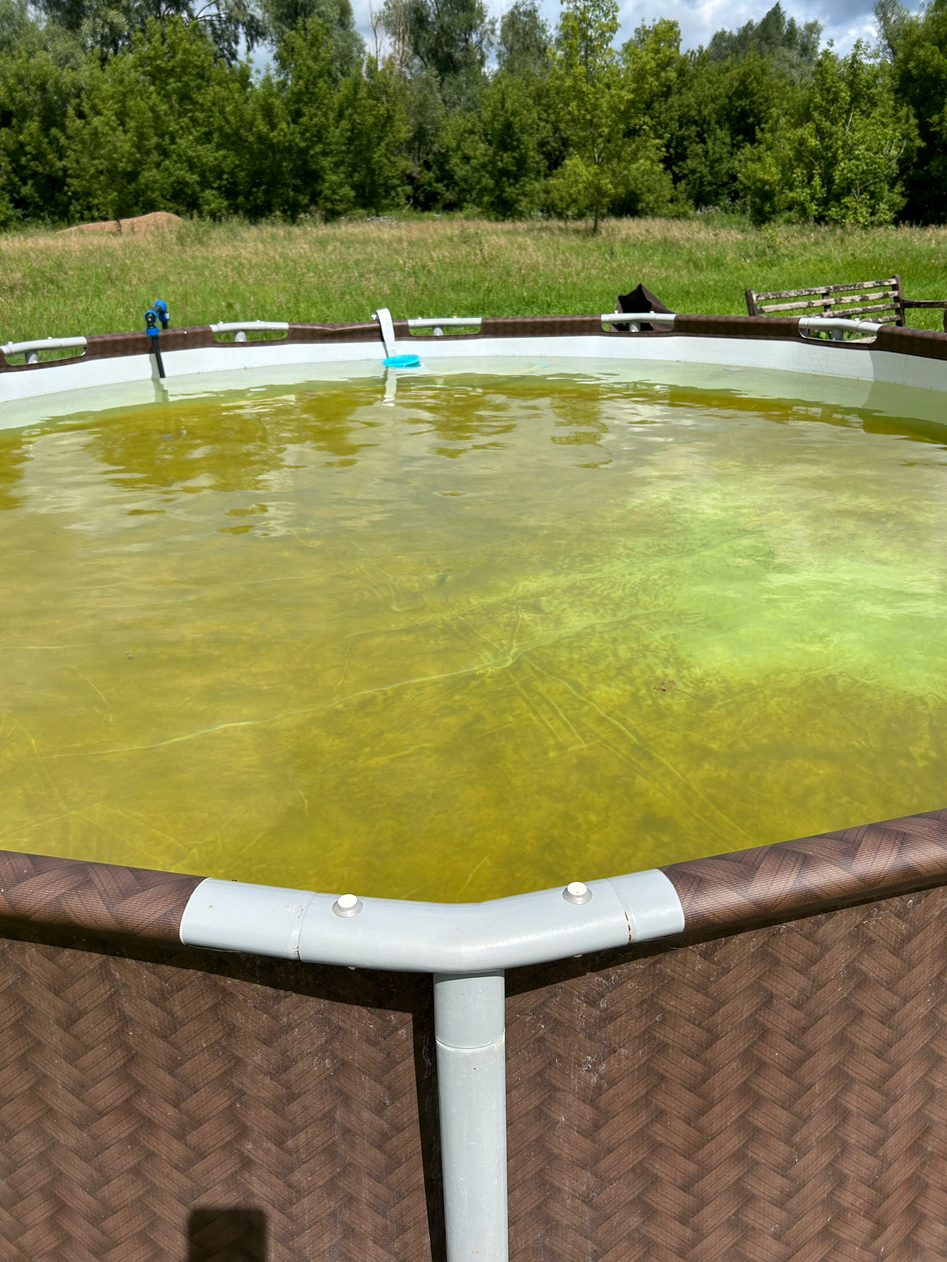 Фото В кругу друзей