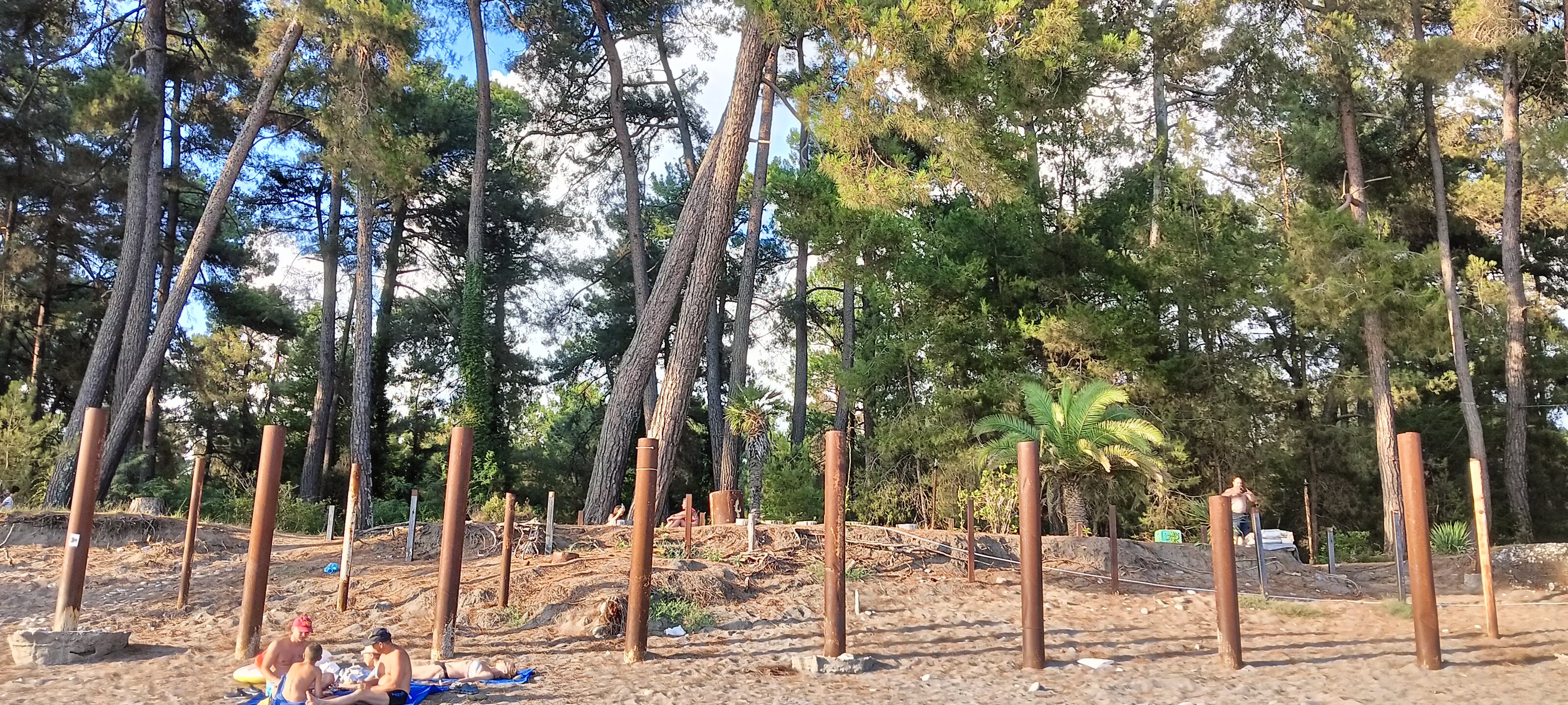 Фото Сосновый рай