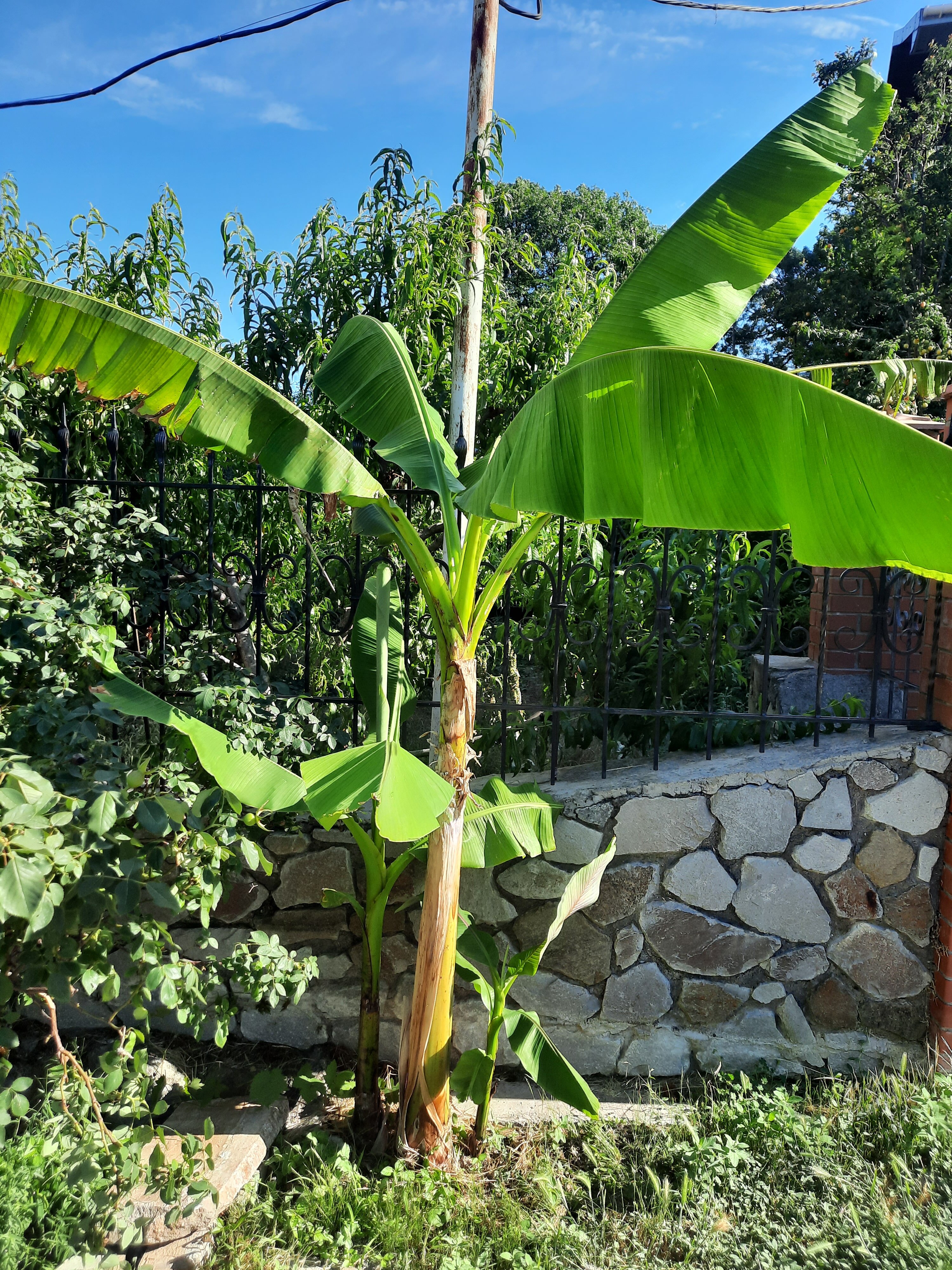 Фото Кастеллум