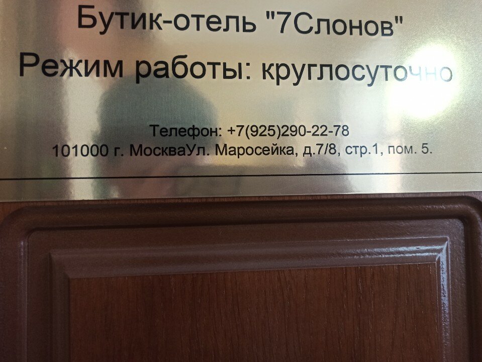 Фото 7 Слонов