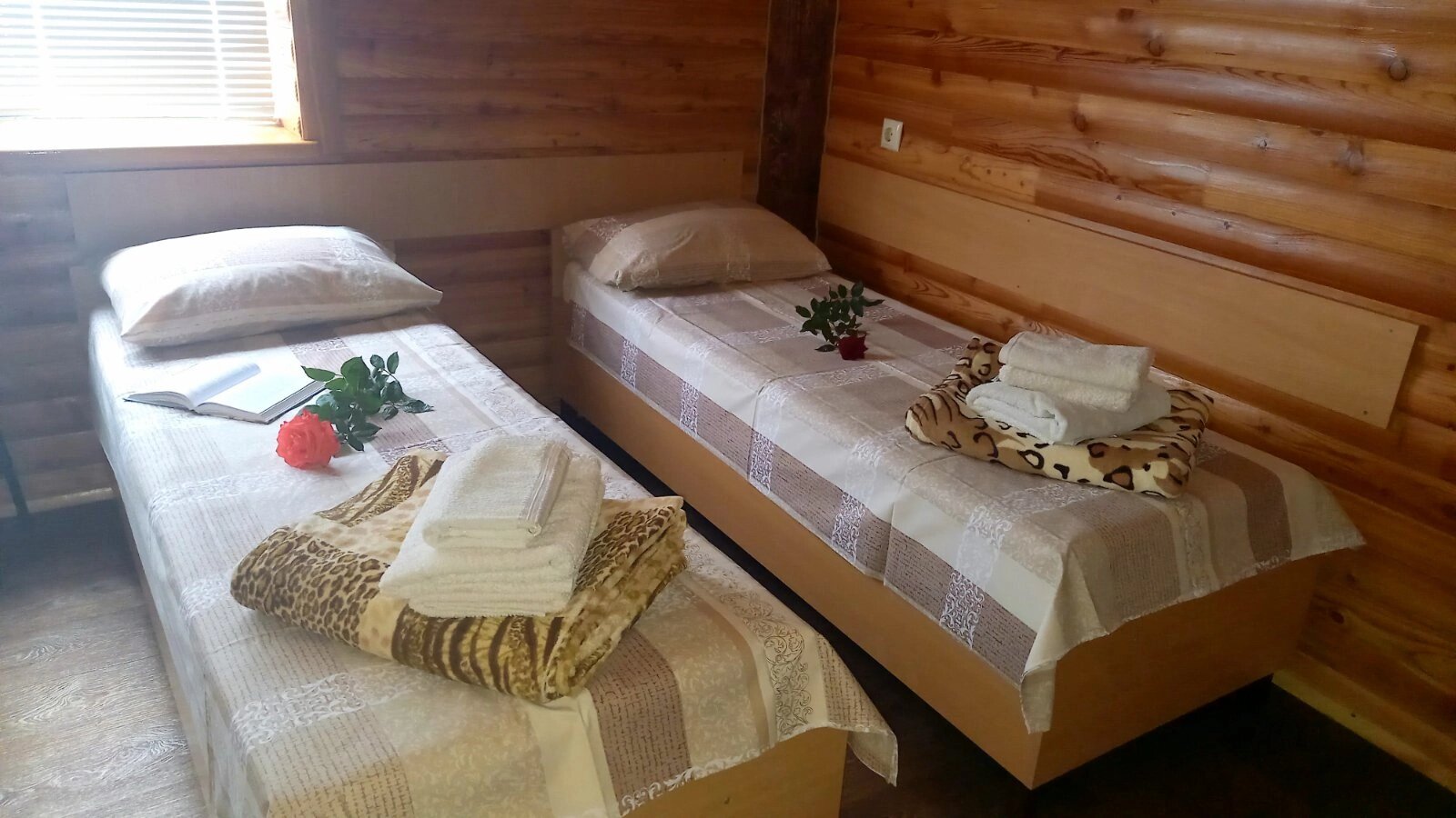 Фото Белый парус