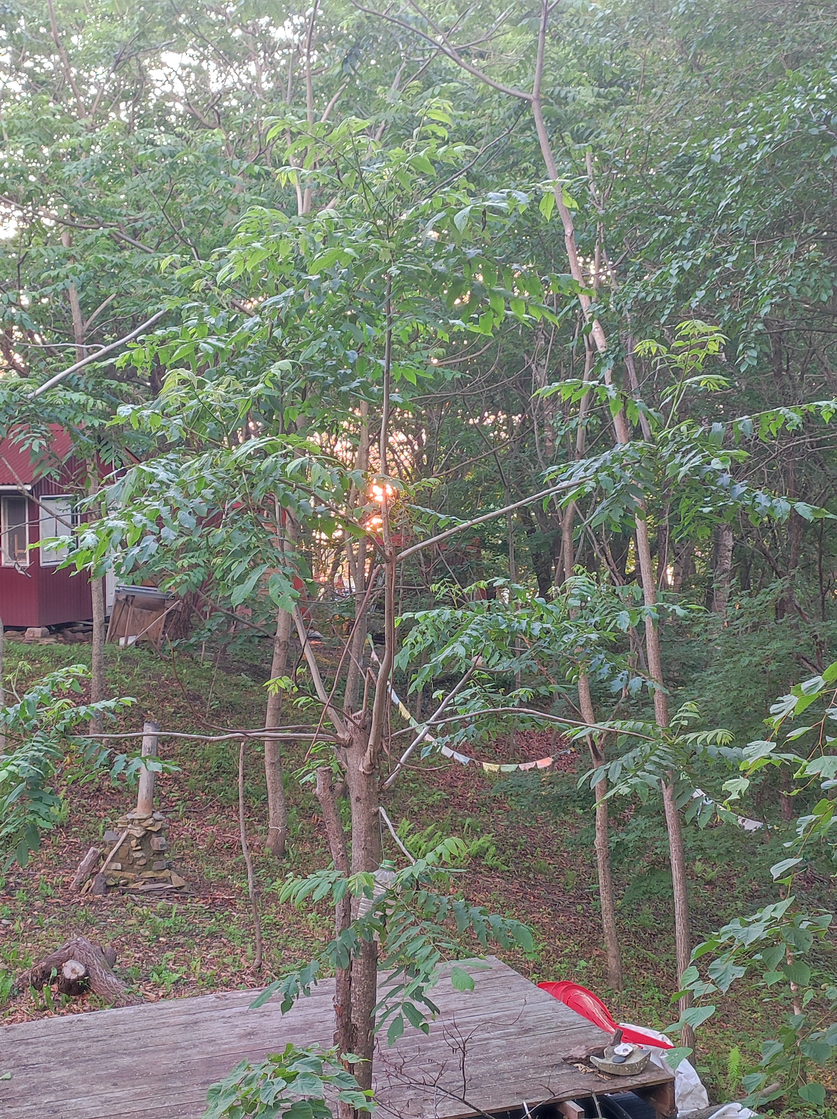 Фото Домик путешественника