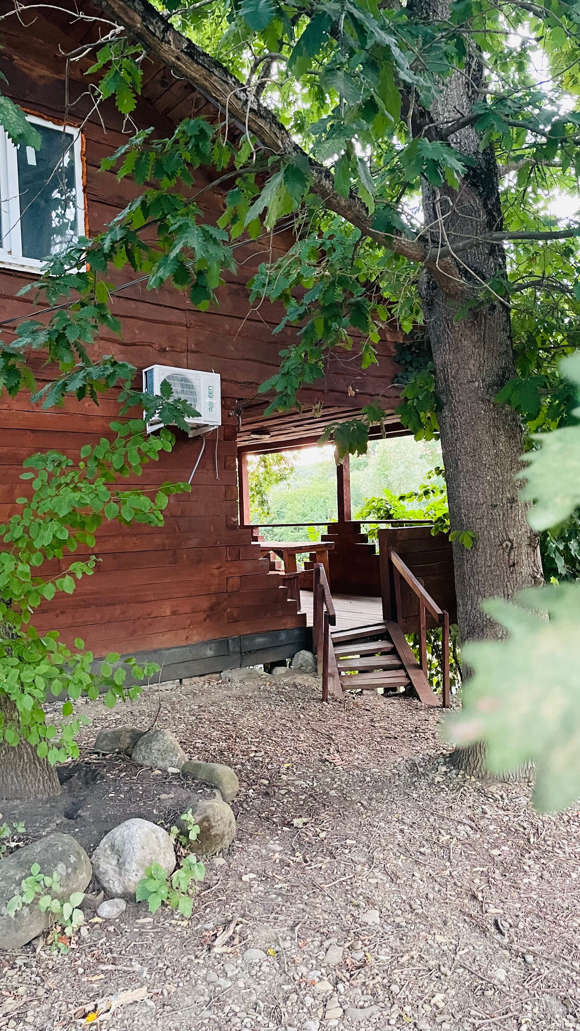 Фото Лукоморье