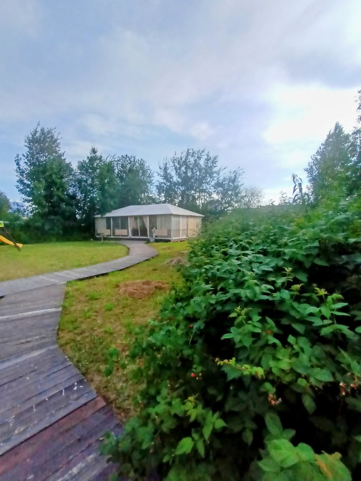 Фото На Сайме