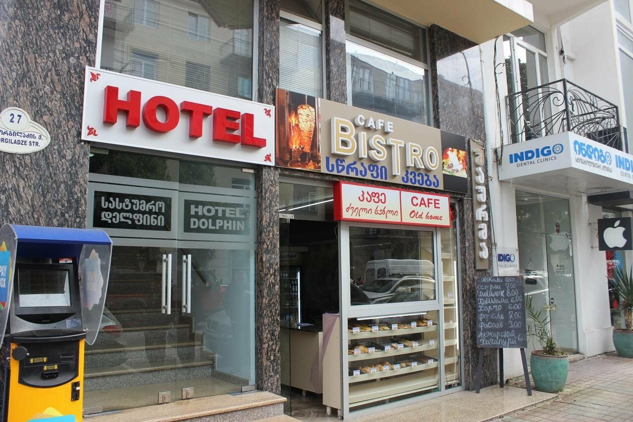 Фото Дельфин