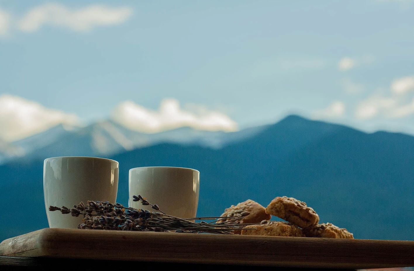 Фото Pirina Club Family Hotel